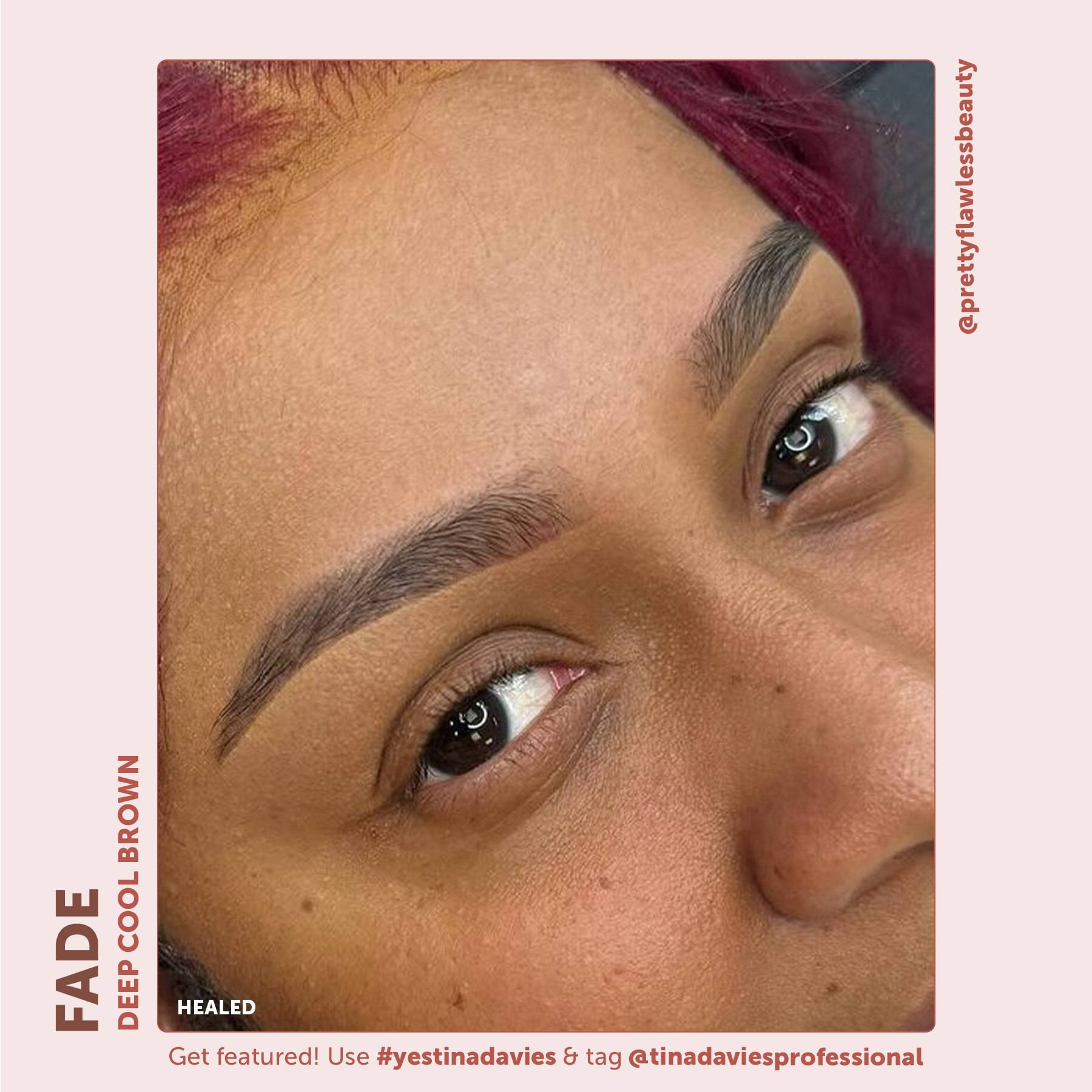 FADE Eyebrow Pigment Collection