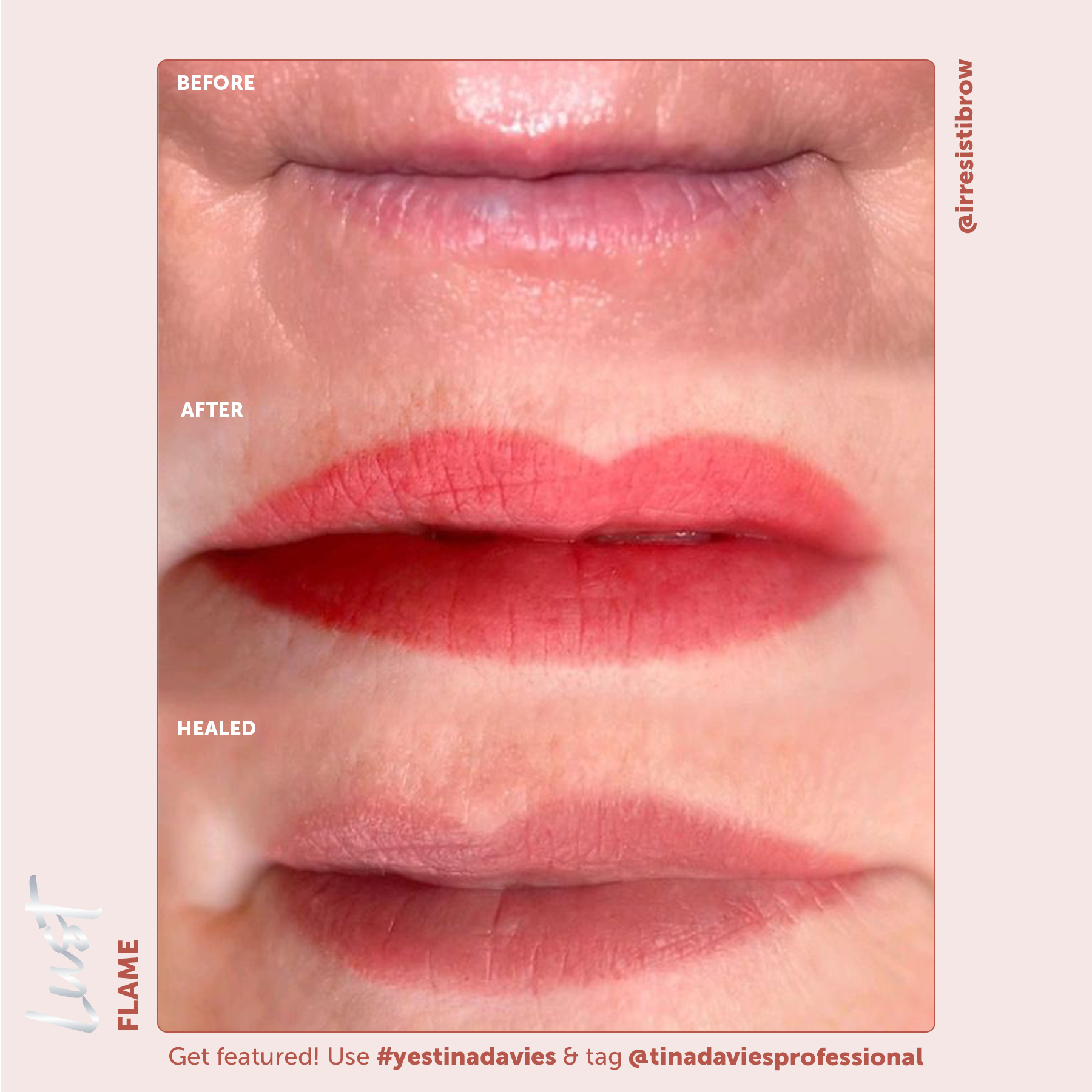 Lust Lip Pigment Collection