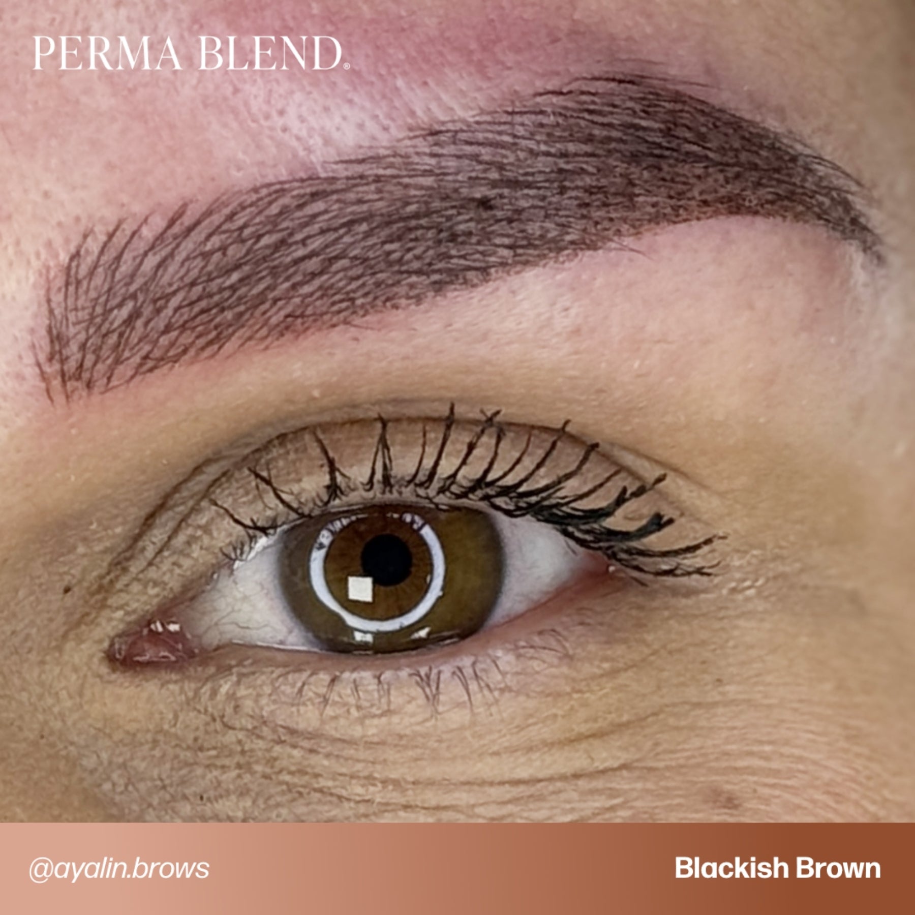 Perma Blend Eyebrow Pigments - Brow Shades
