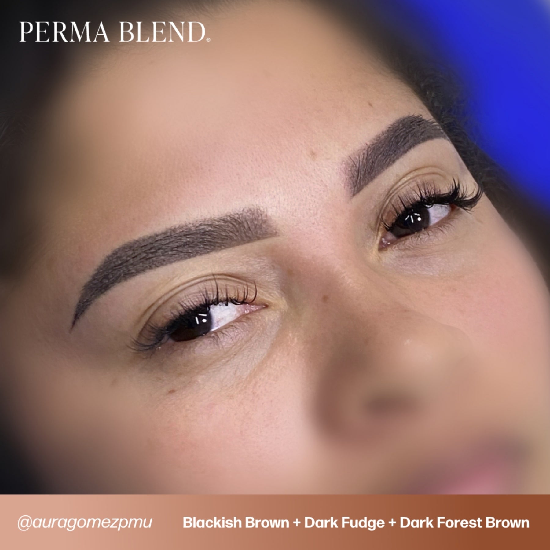 Perma Blend Eyebrow Pigments - Brow Shades