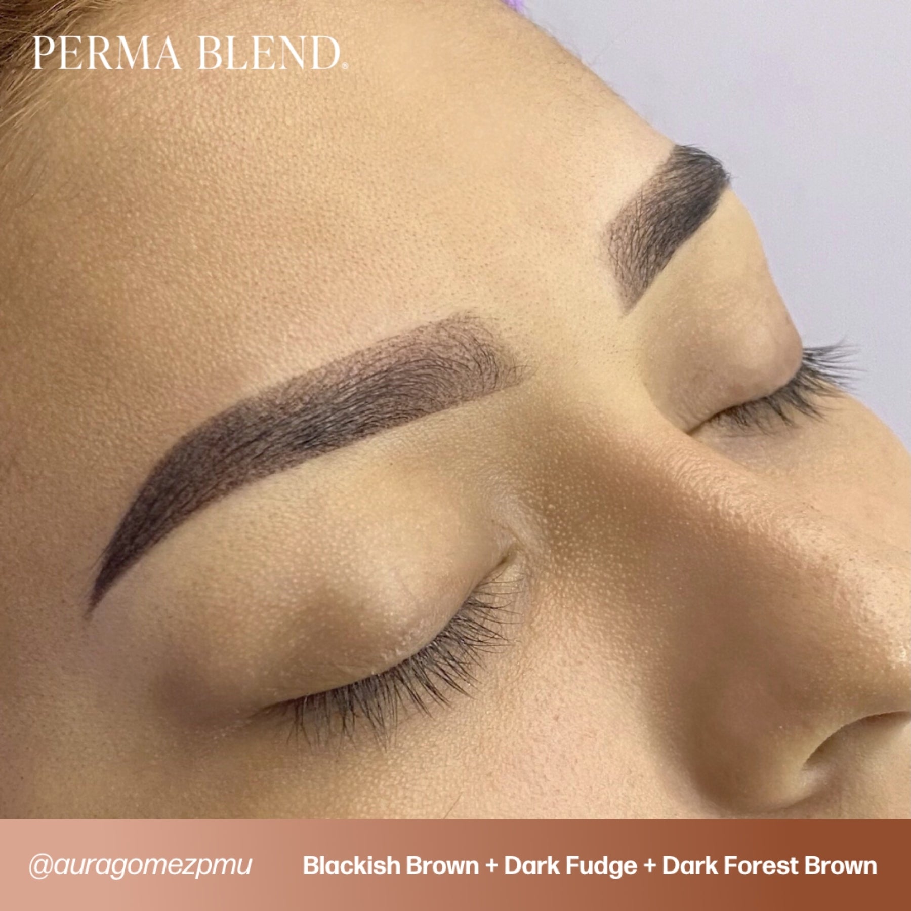 Perma Blend Eyebrow Pigments - Brow Shades