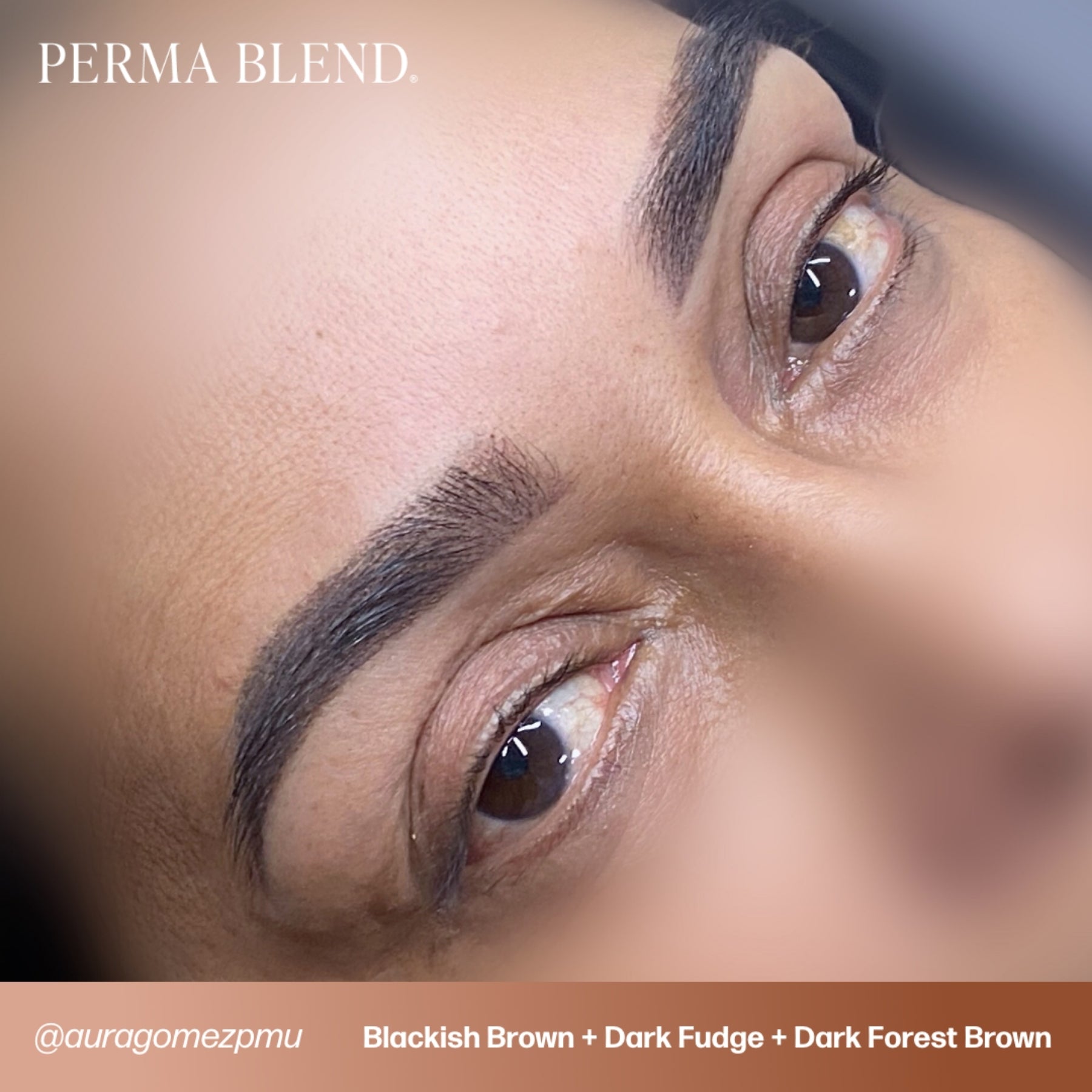 Perma Blend Eyebrow Pigments - Brow Shades