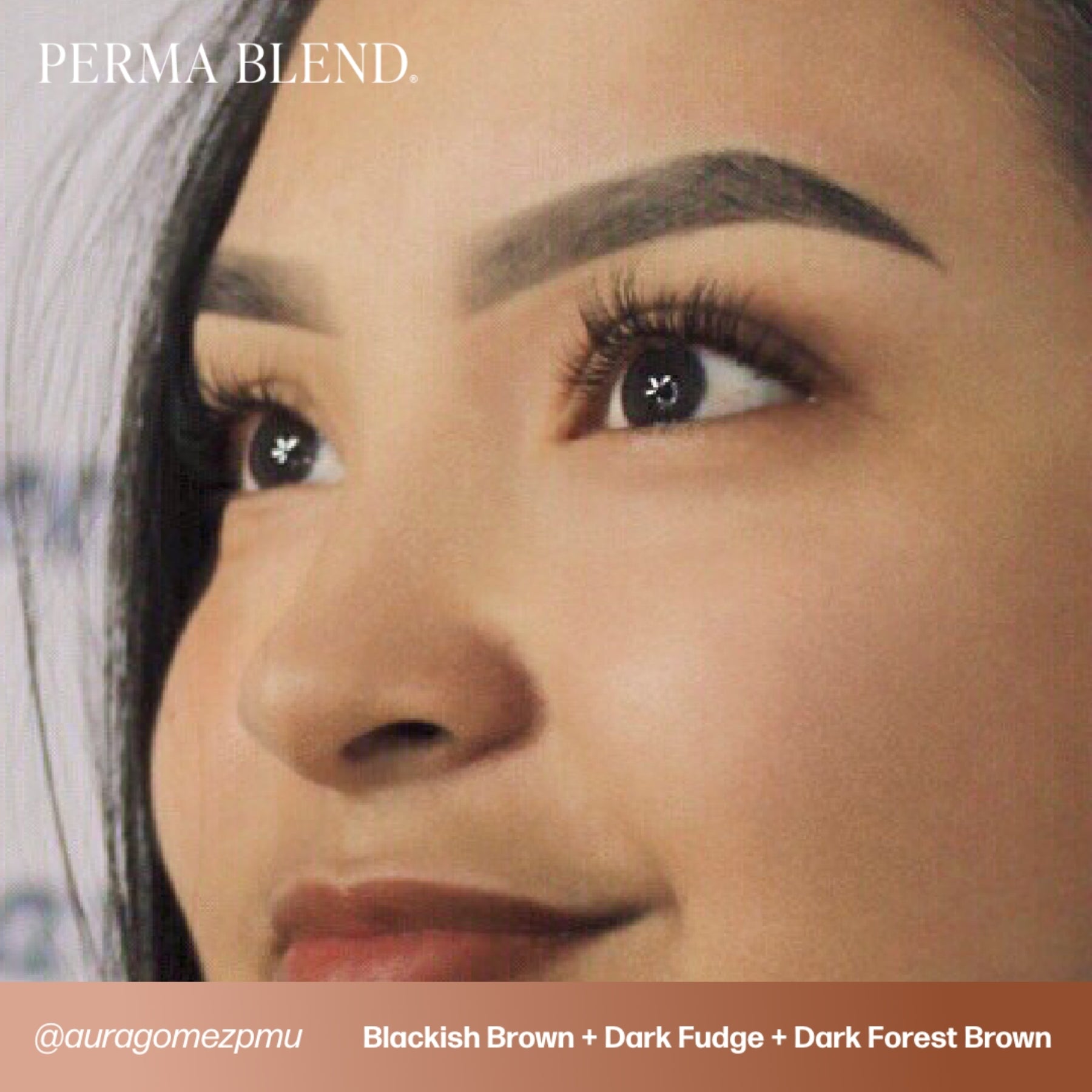 Perma Blend Eyebrow Pigments - Brow Shades