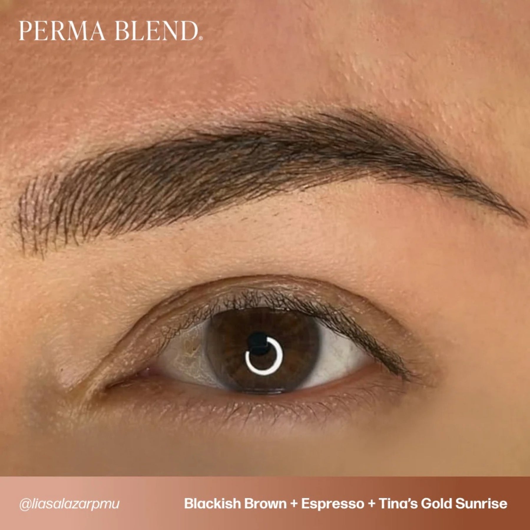 Perma Blend Eyebrow Pigments - Brow Shades