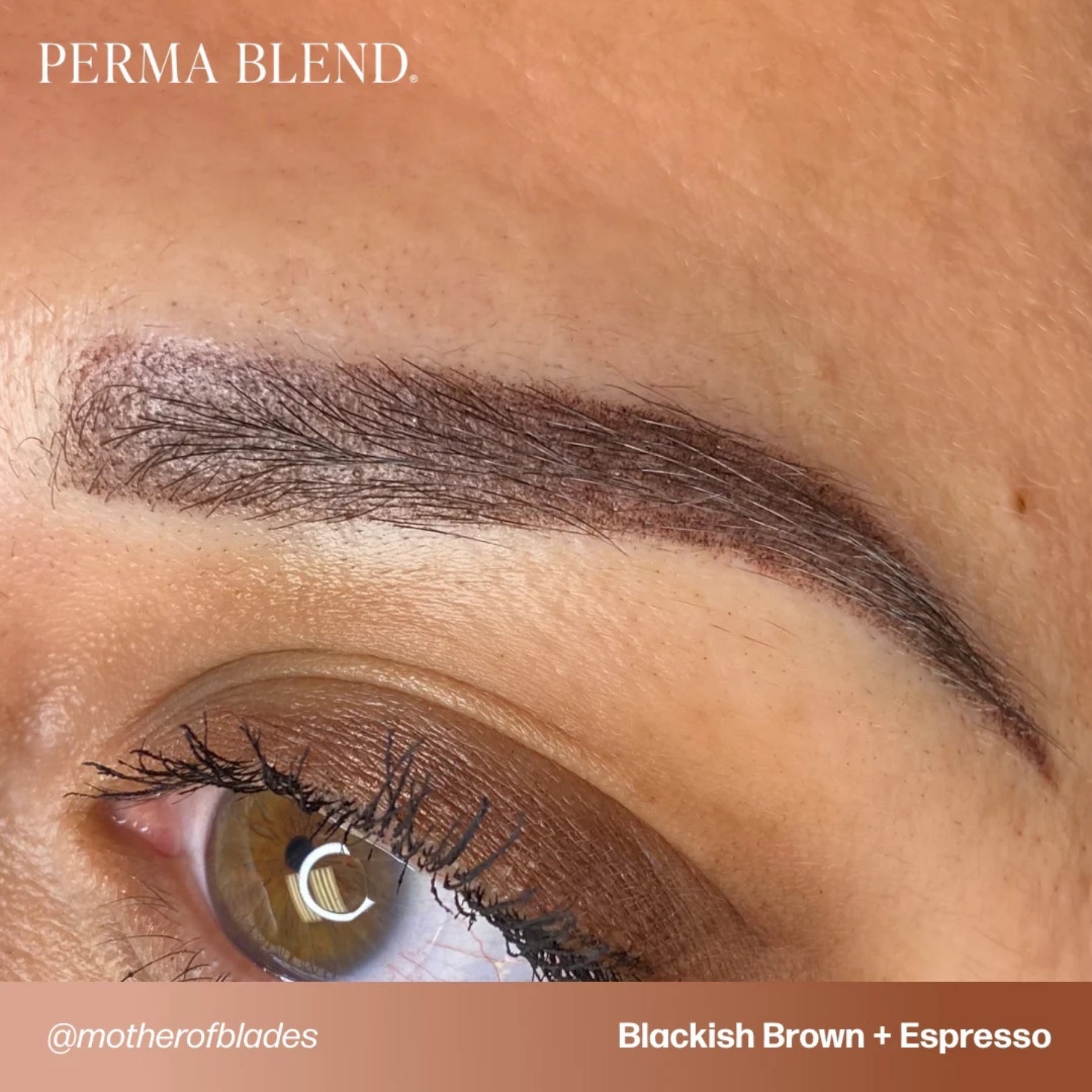 Perma Blend Eyebrow Pigments - Brow Shades