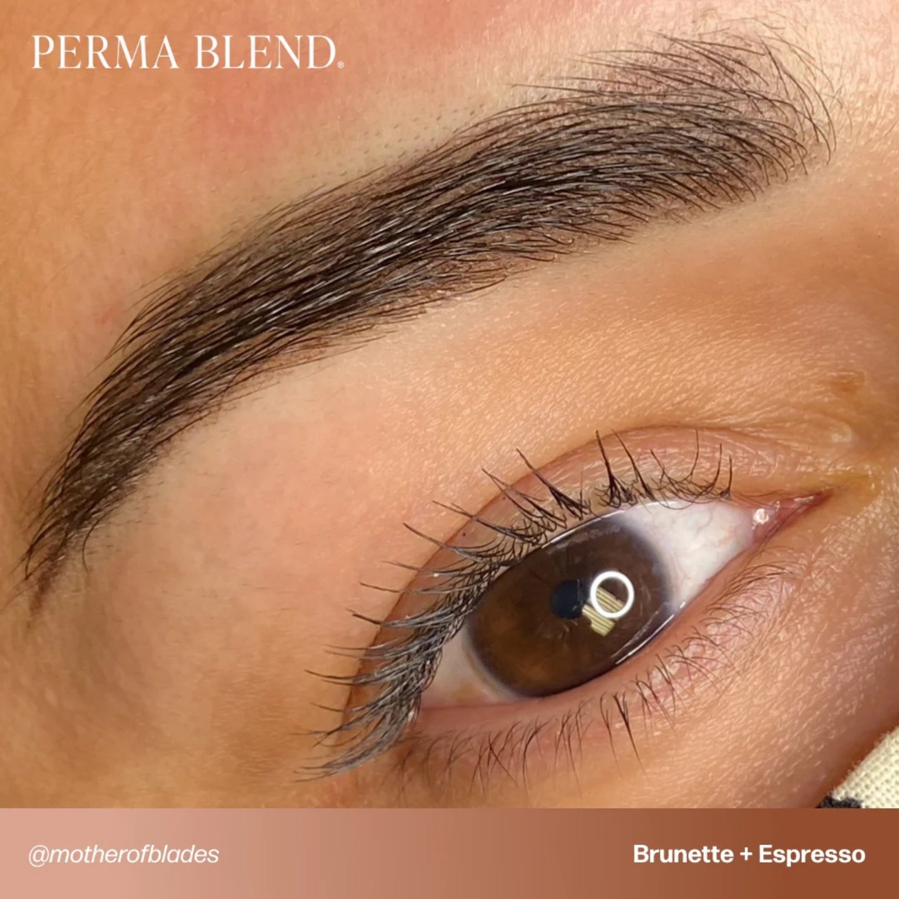 Perma Blend Eyebrow Pigments - Brow Shades