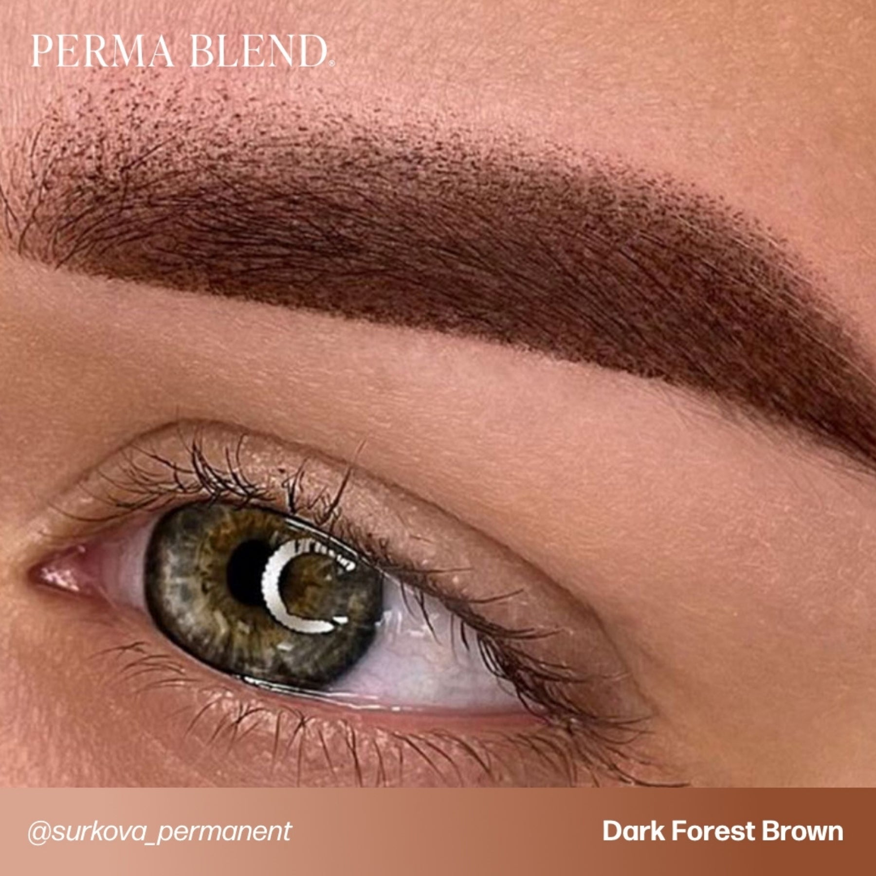 Perma Blend Eyebrow Pigments - Brow Shades