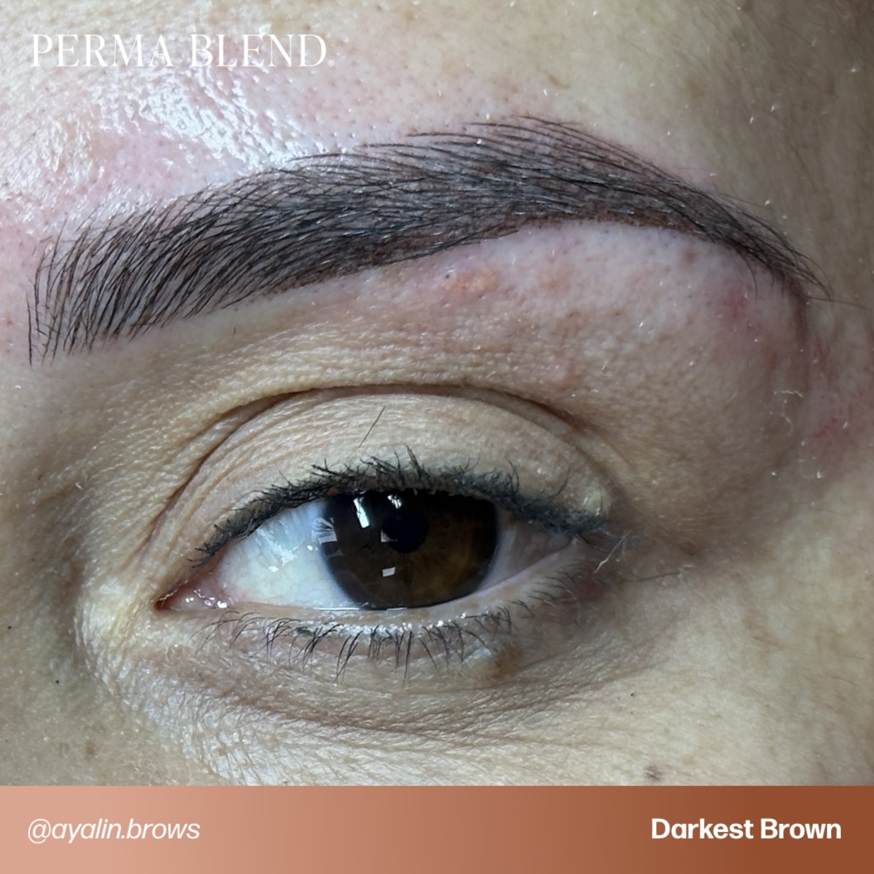 Perma Blend Eyebrow Pigments - Brow Shades