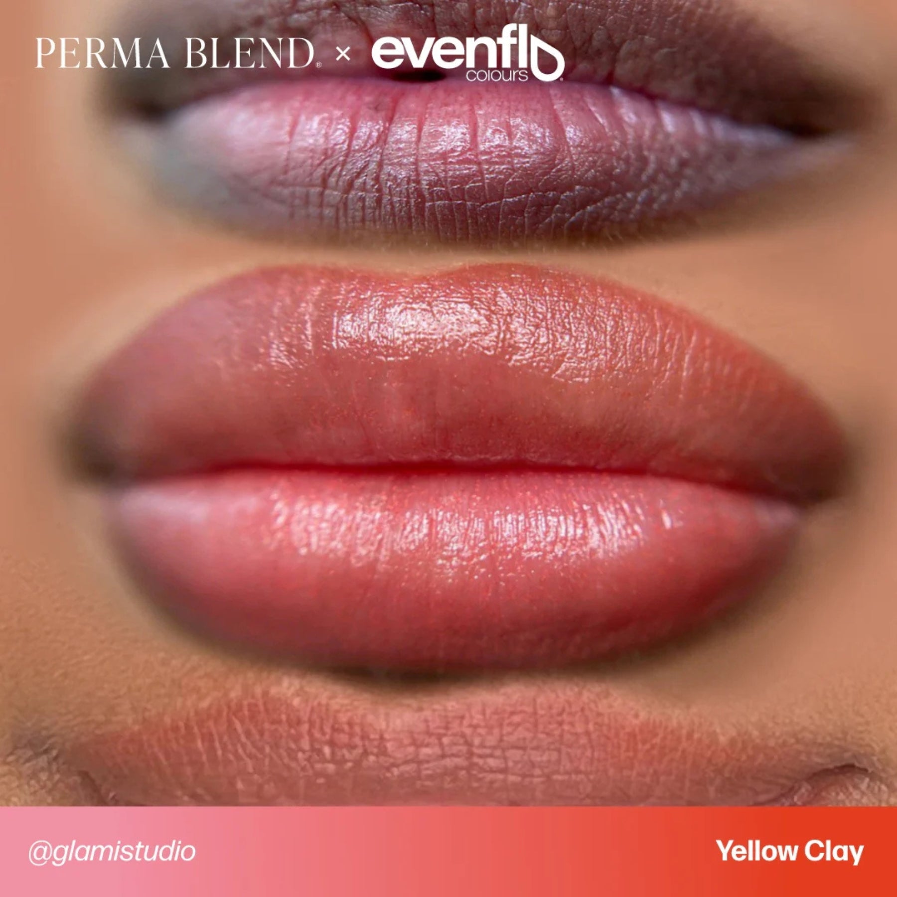 Evenflo Colours | Lip Shades