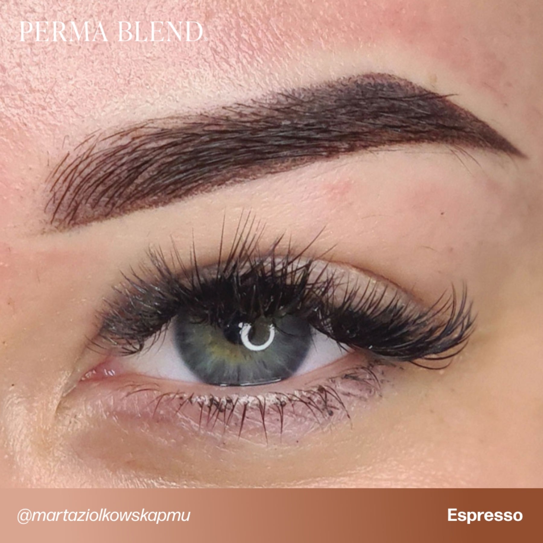 Perma Blend Eyebrow Pigments - Brow Shades