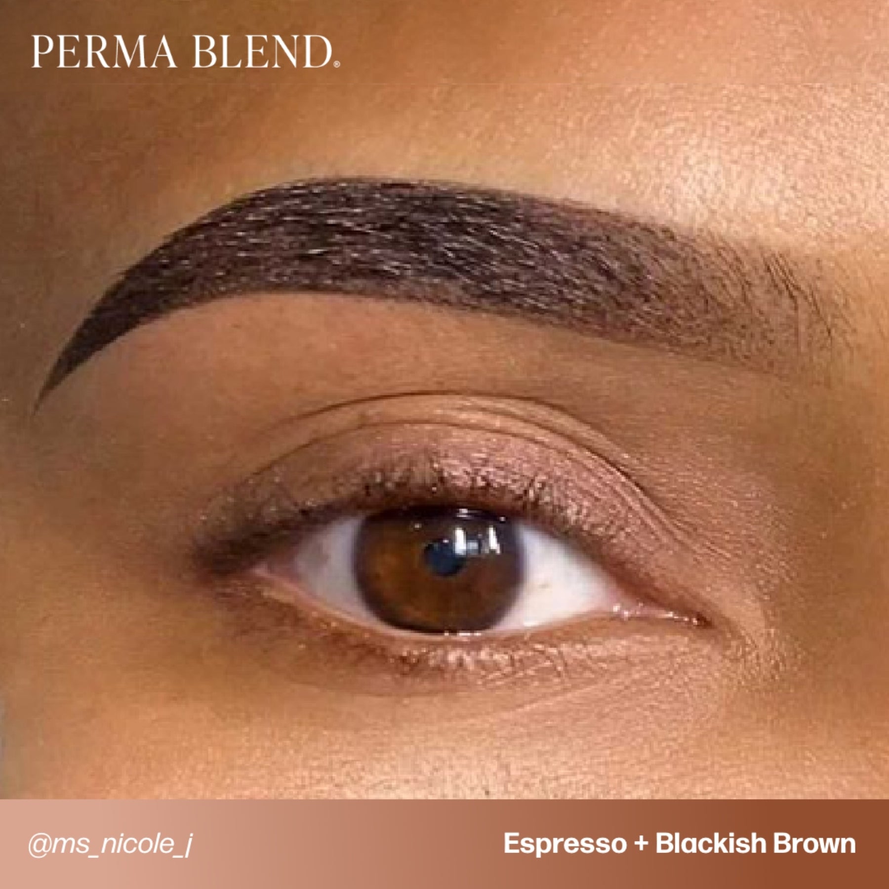 Perma Blend Eyebrow Pigments - Brow Shades