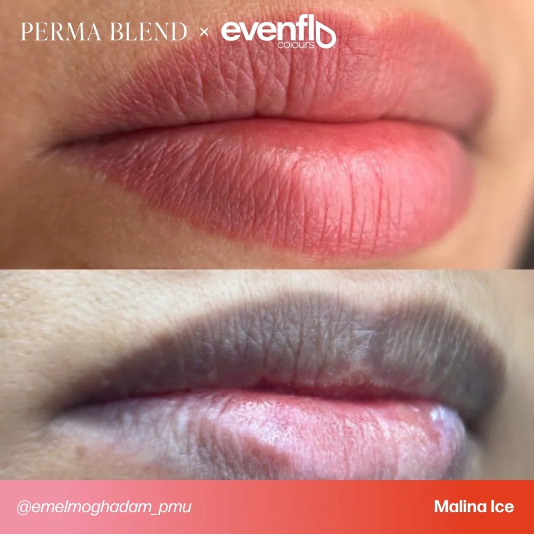 Evenflo Colours | Lip Shades