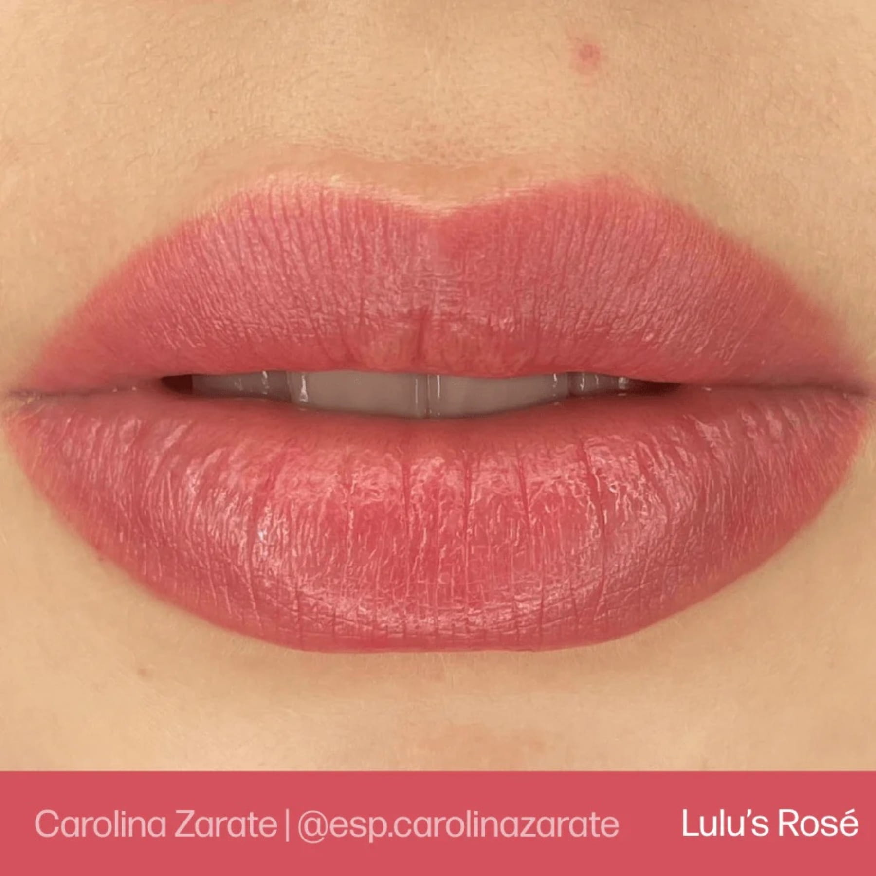 Evenflo Colours | Lip Set