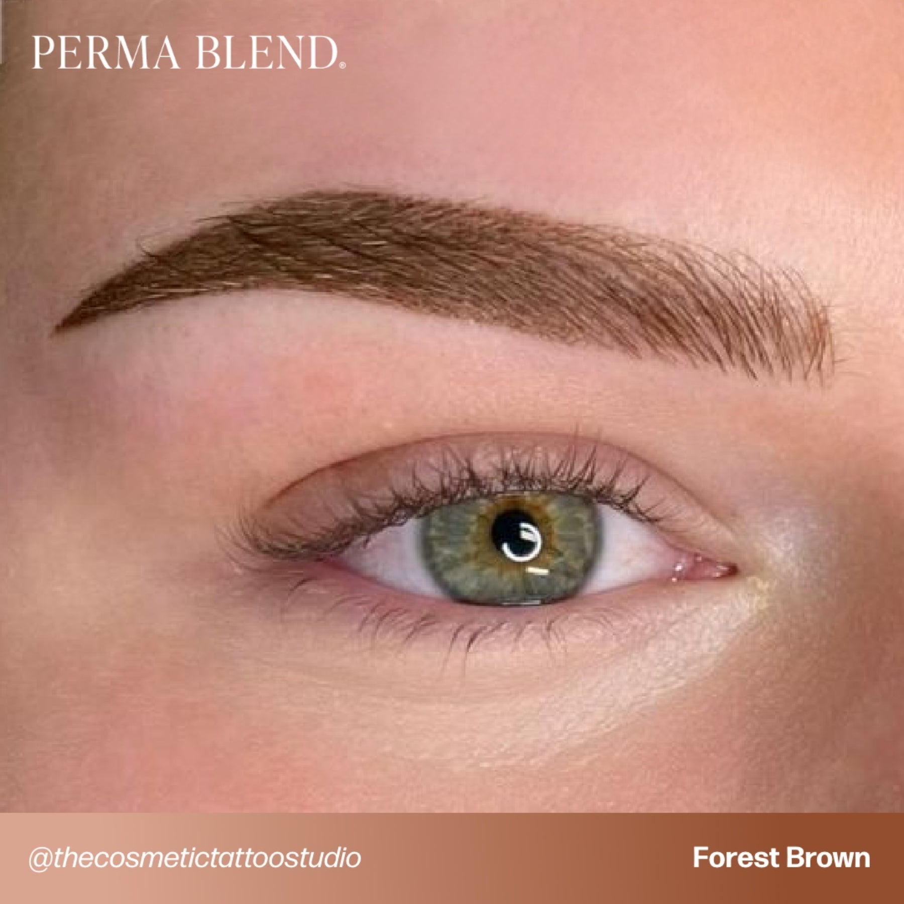 Perma Blend Eyebrow Pigments - Brow Shades