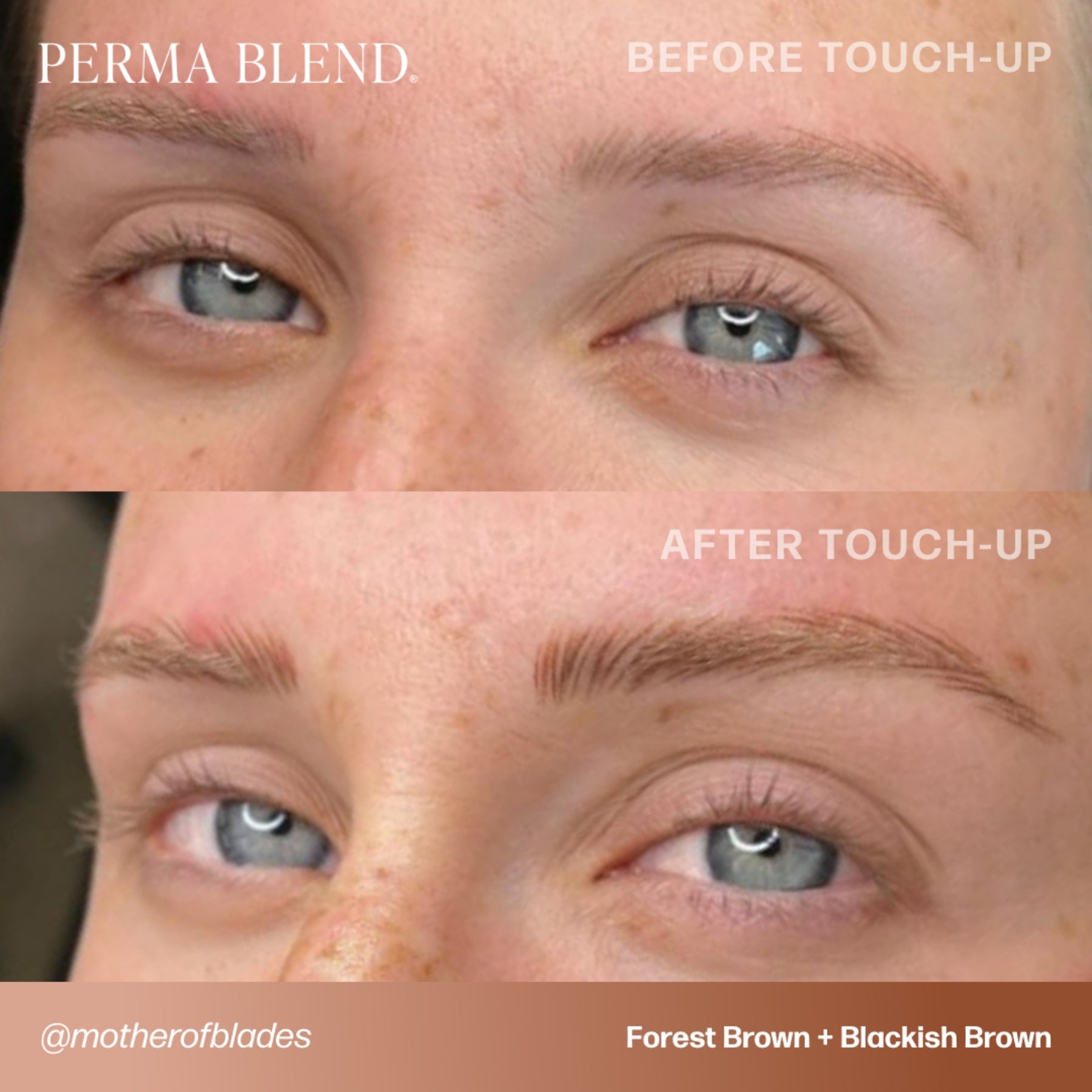 Perma Blend Eyebrow Pigments - Brow Shades