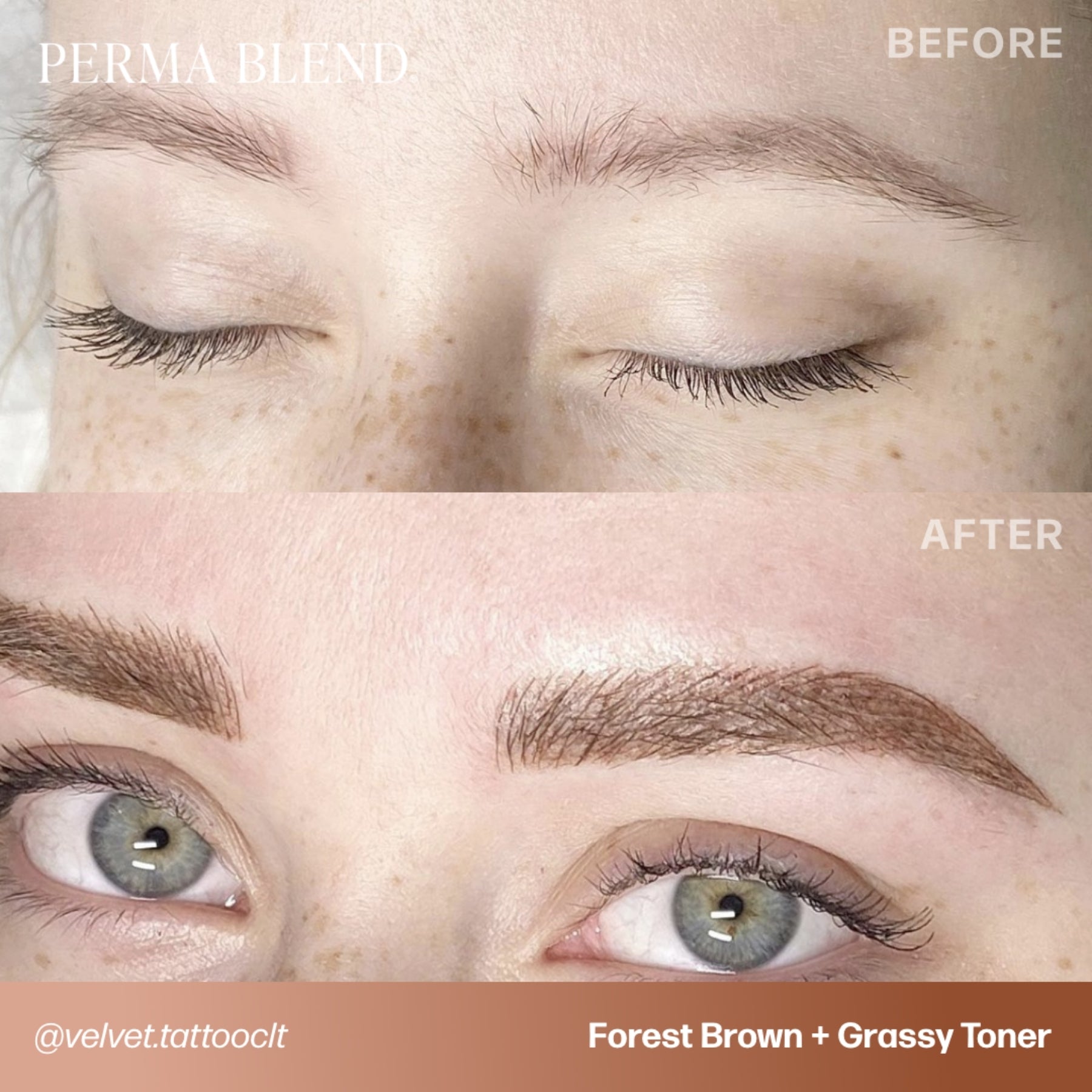 Perma Blend Eyebrow Pigments - Brow Shades