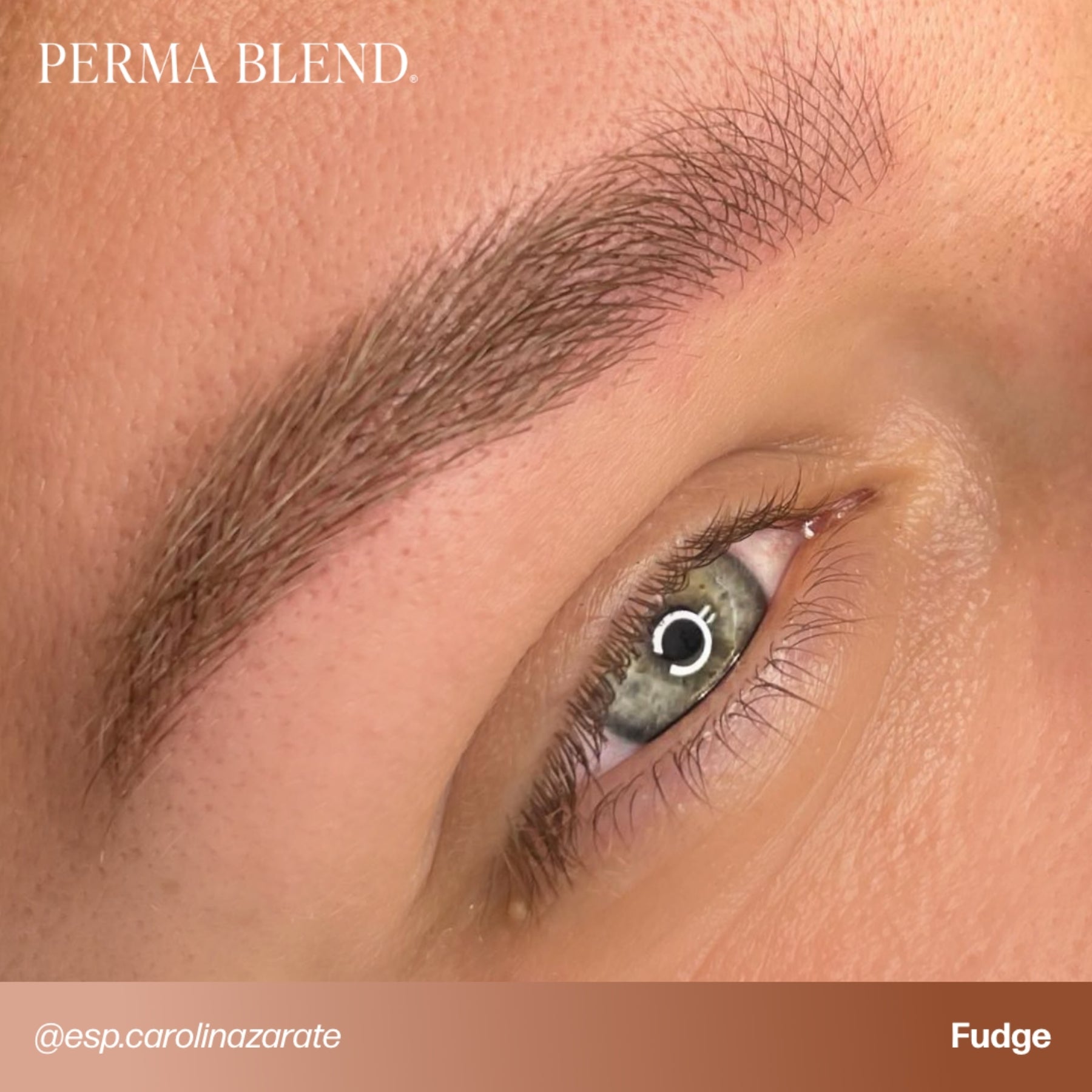 Perma Blend Eyebrow Pigments - Brow Shades