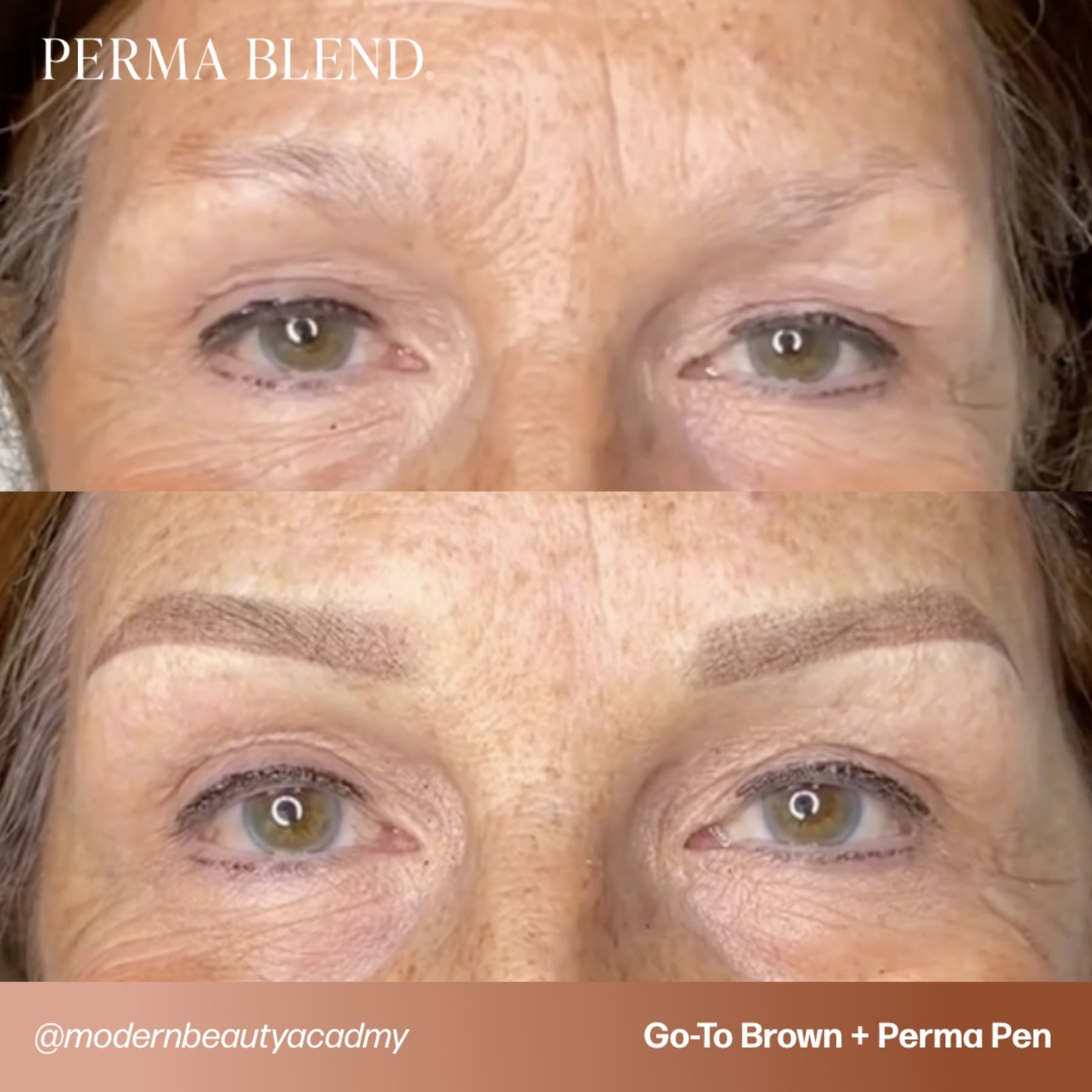 Perma Blend Eyebrow Pigments - Brow Shades