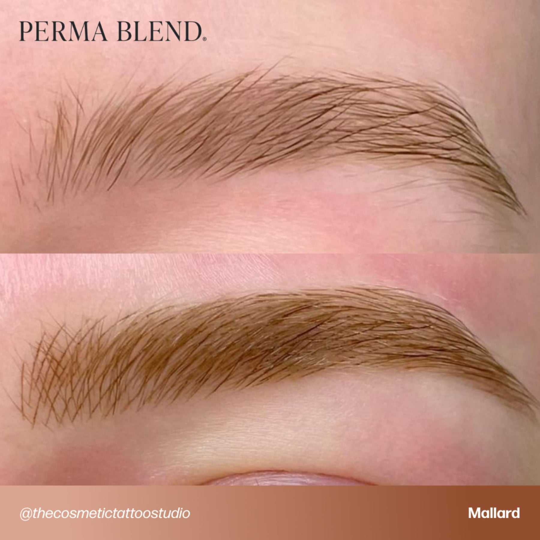 Perma Blend Eyebrow Pigments - Brow Shades