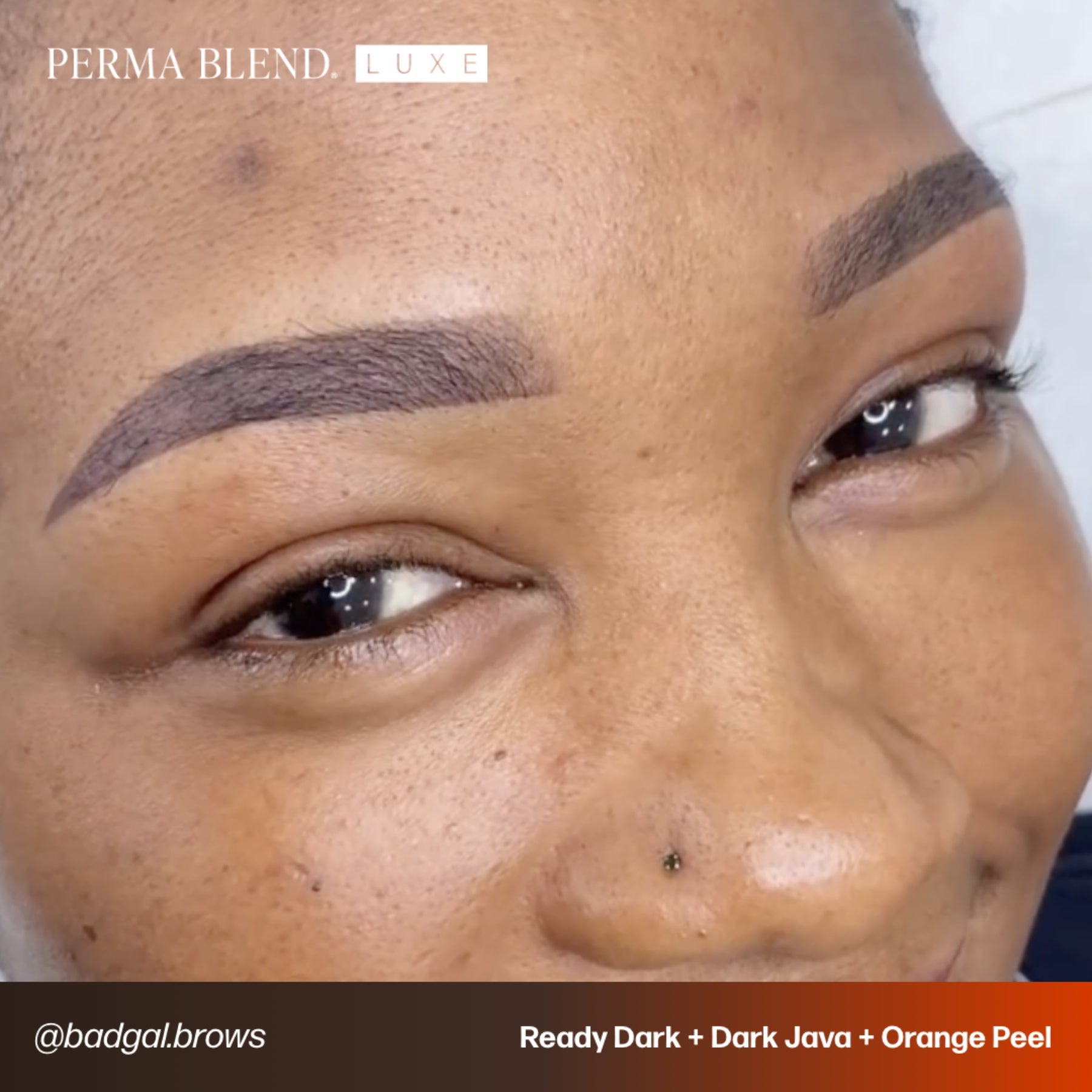 Perma Blend Luxe Ready-Set-Go Pre-Modified Brow Pigment Set