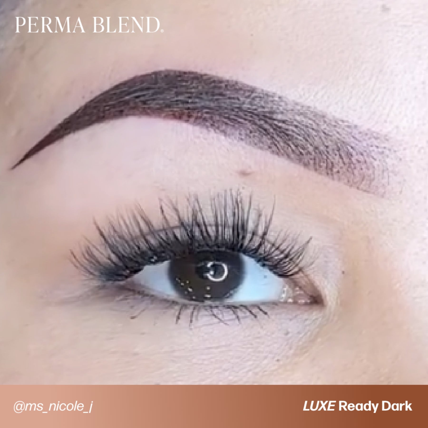 Perma Blend Luxe Ready-Set-Go Pre-Modified Brow Pigment Set