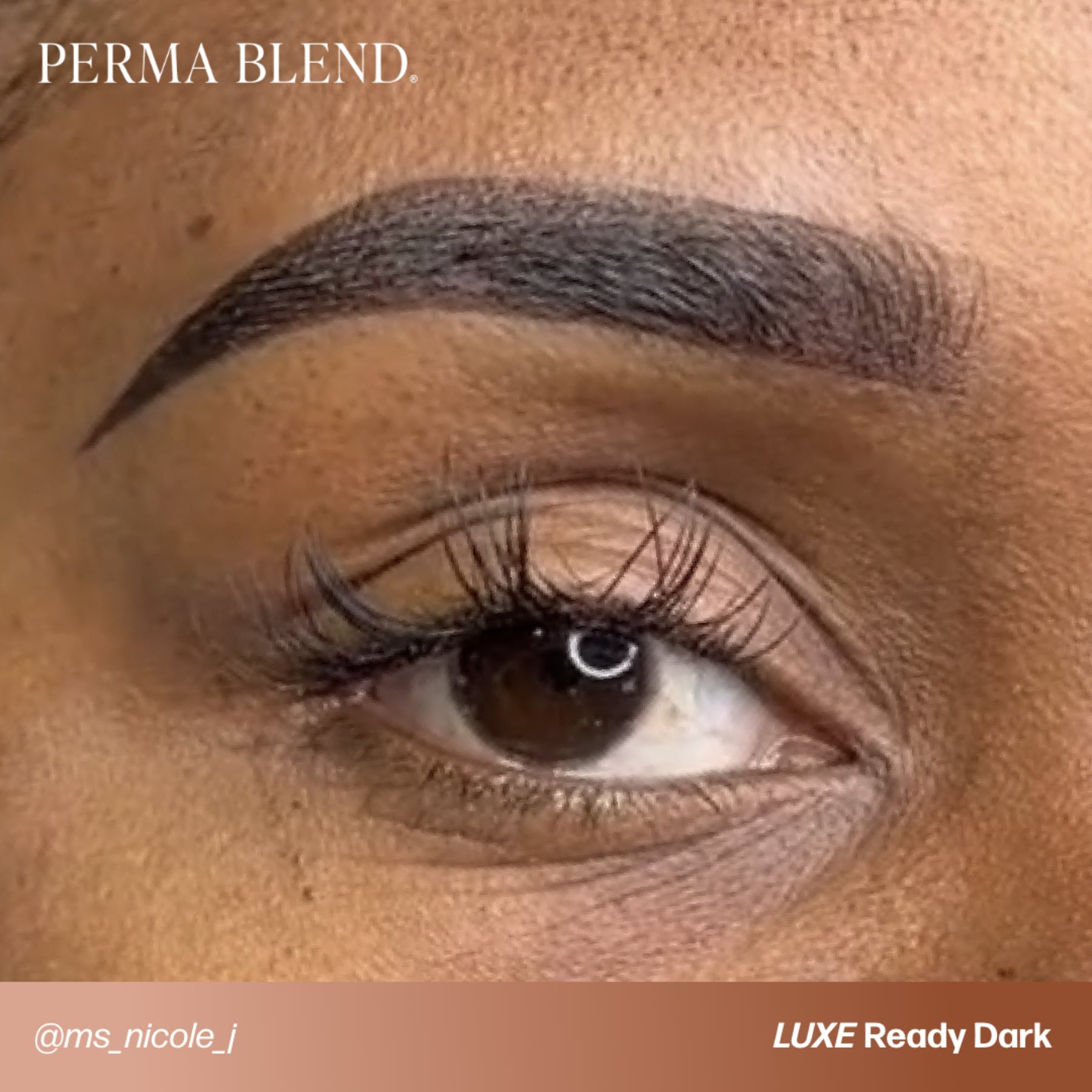 Perma Blend Luxe Ready-Set-Go Pre-Modified Brow Pigment Set
