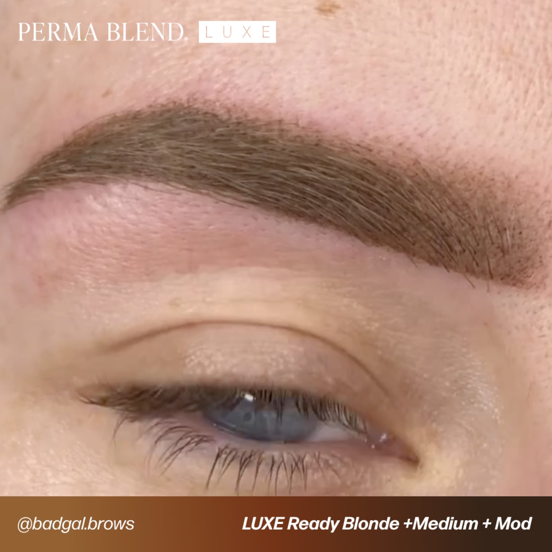 Perma Blend Luxe Ready-Set-Go Pre-Modified Brow Pigment Set