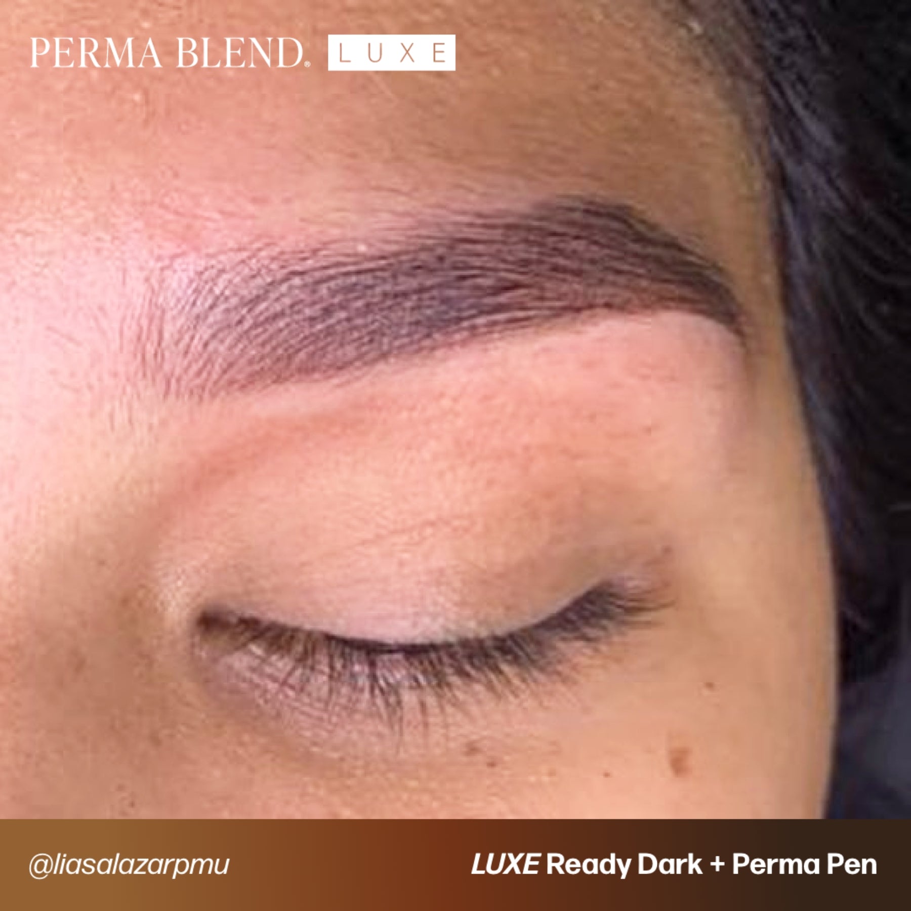 Perma Blend Luxe Ready-Set-Go Pre-Modified Brow Pigment Set
