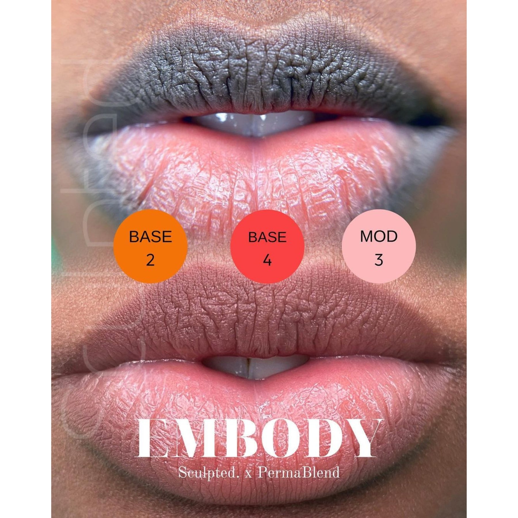 Perma Blend LUXE Carla Ricciardone Embody Set