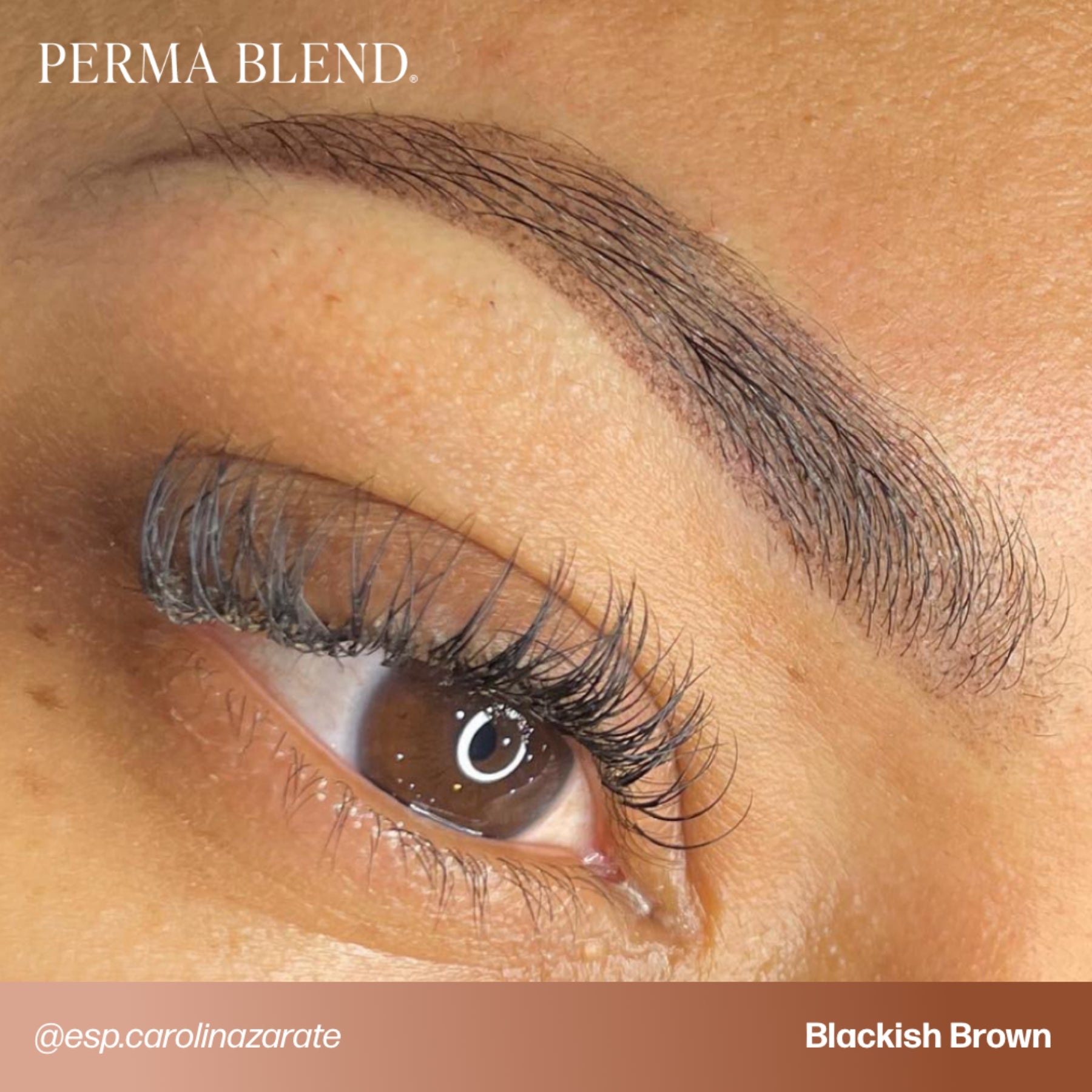 Perma Blend Signature Brow Set