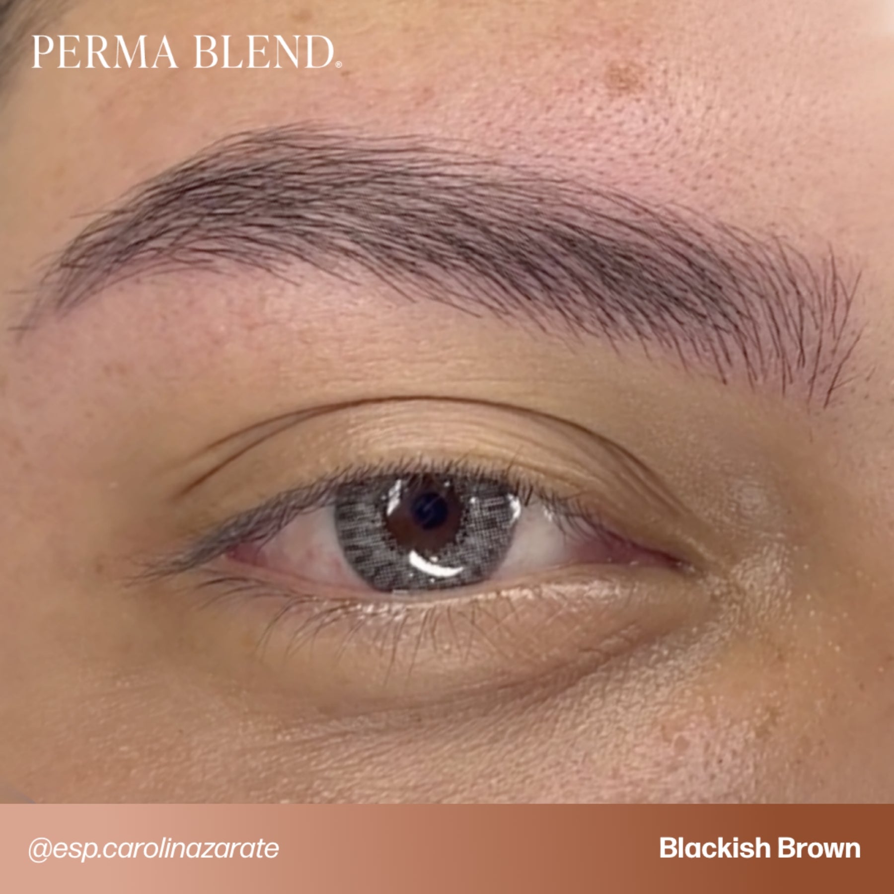 Perma Blend Signature Brow Set