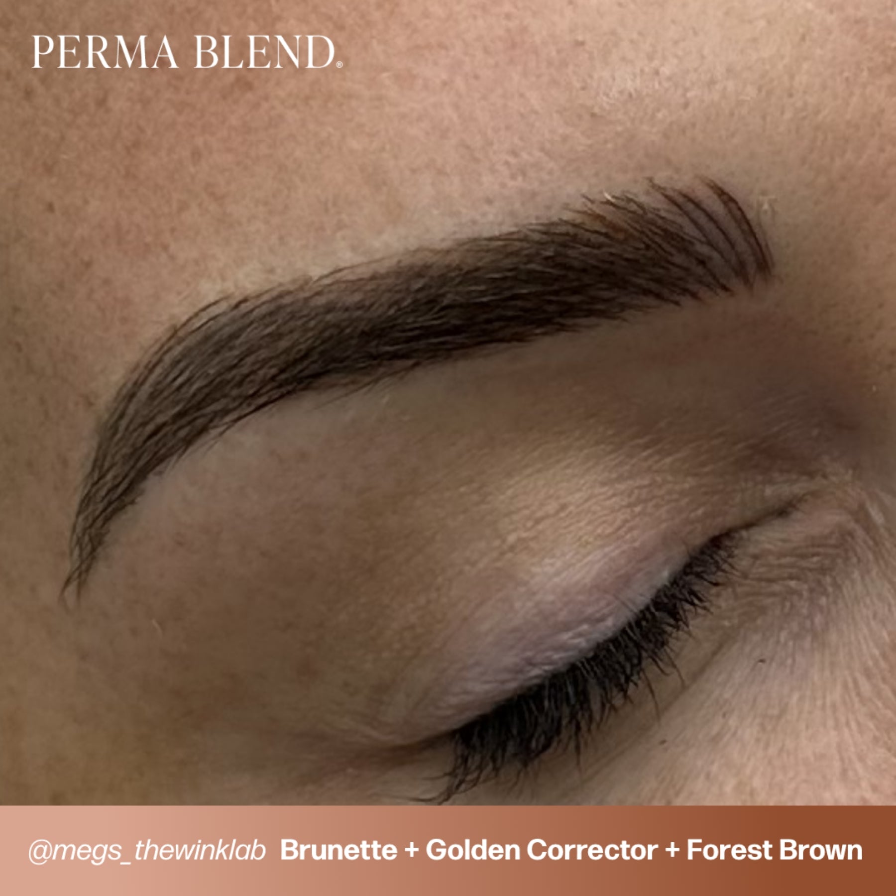 Perma Blend Corrector Pigments
