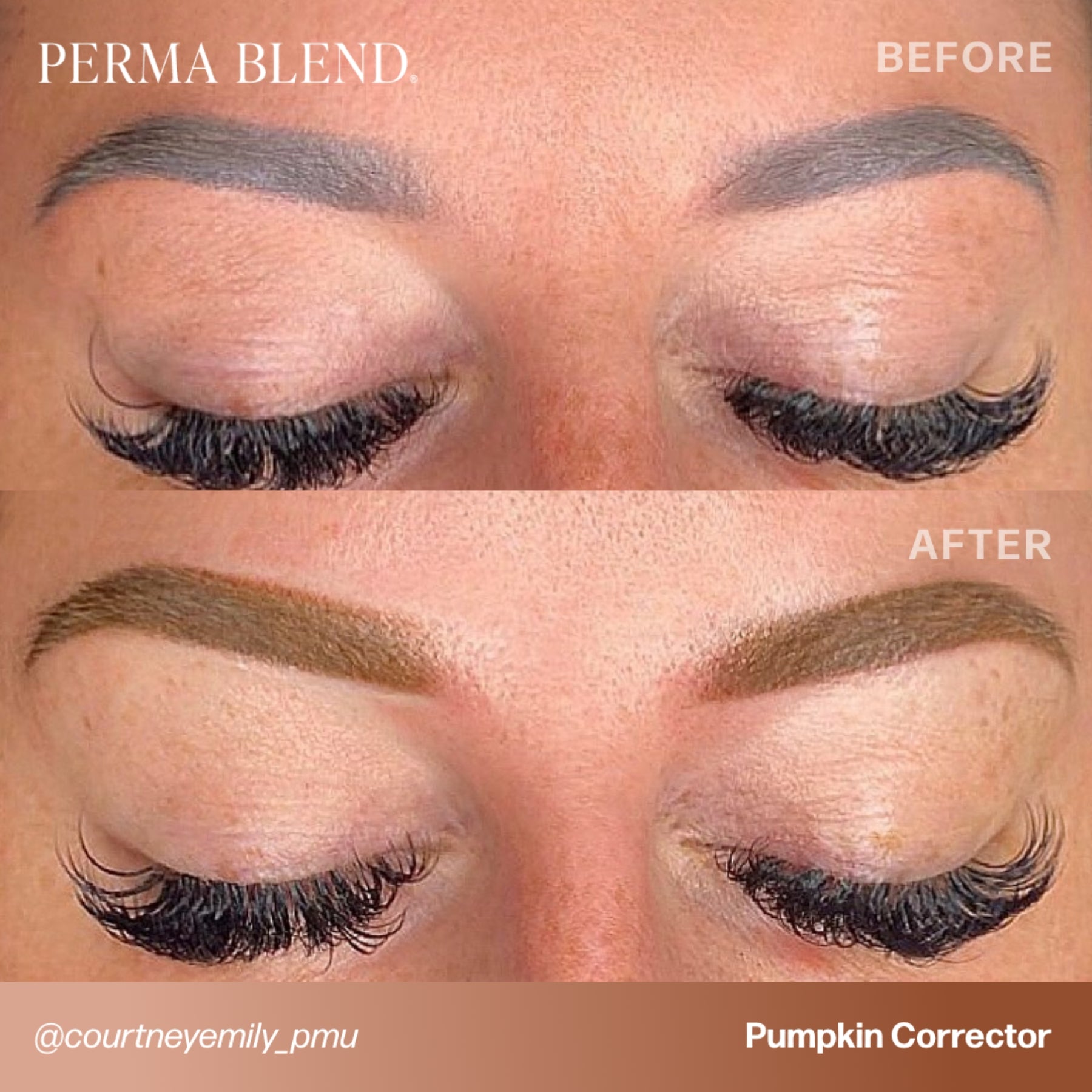 Perma Blend Corrector Pigments