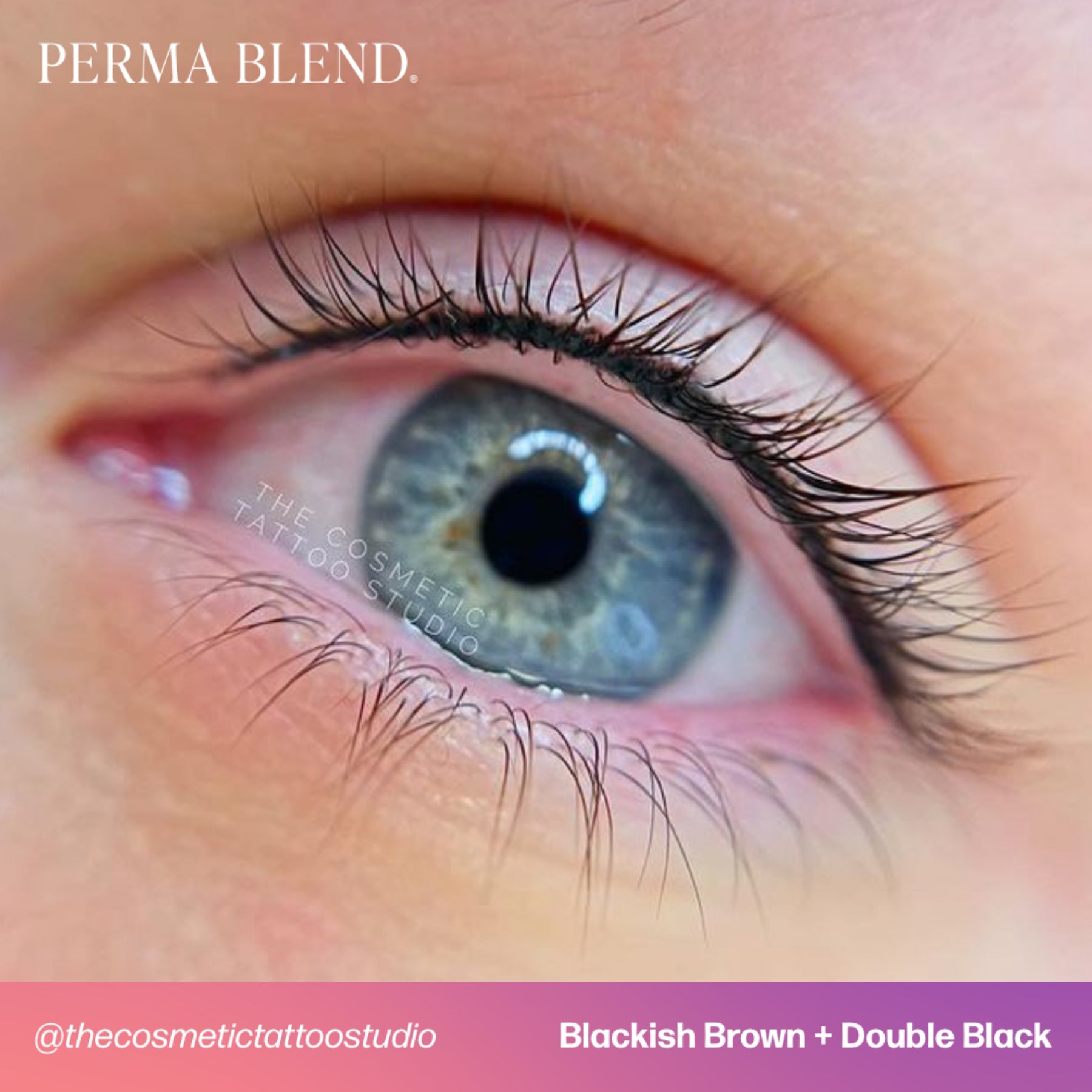 Perma Blend Eyeliner Pigments