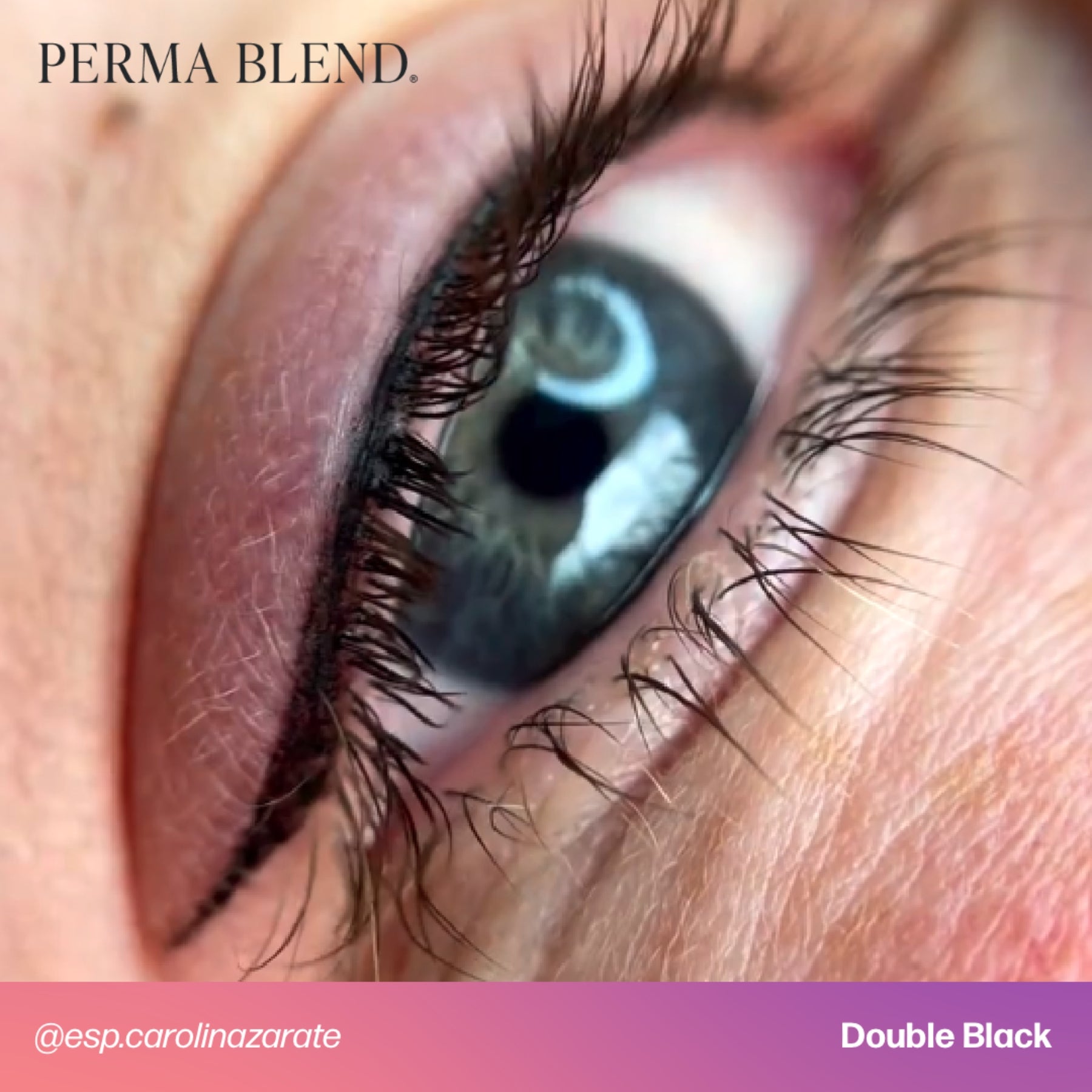 Perma Blend Eyeliner Pigments