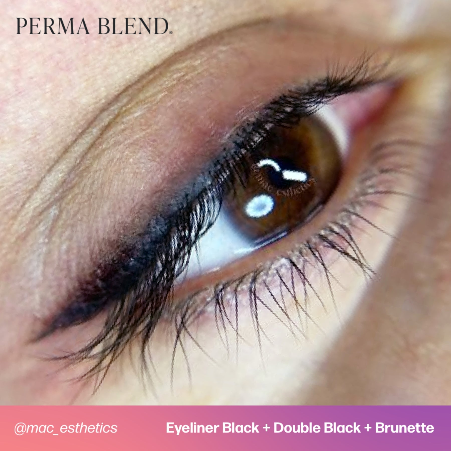 Perma Blend Eyeliner Pigments