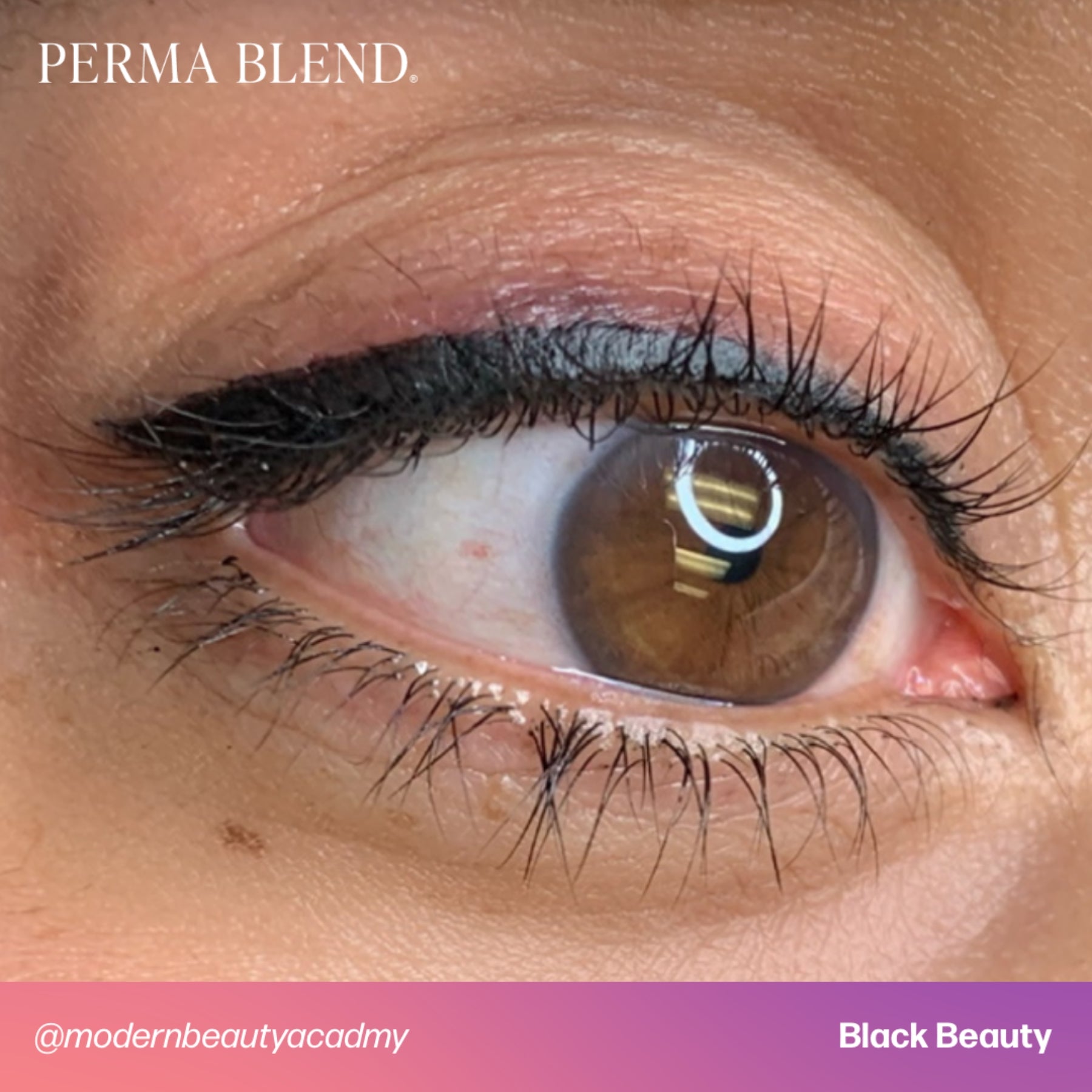 Perma Blend Eyeliner Pigments