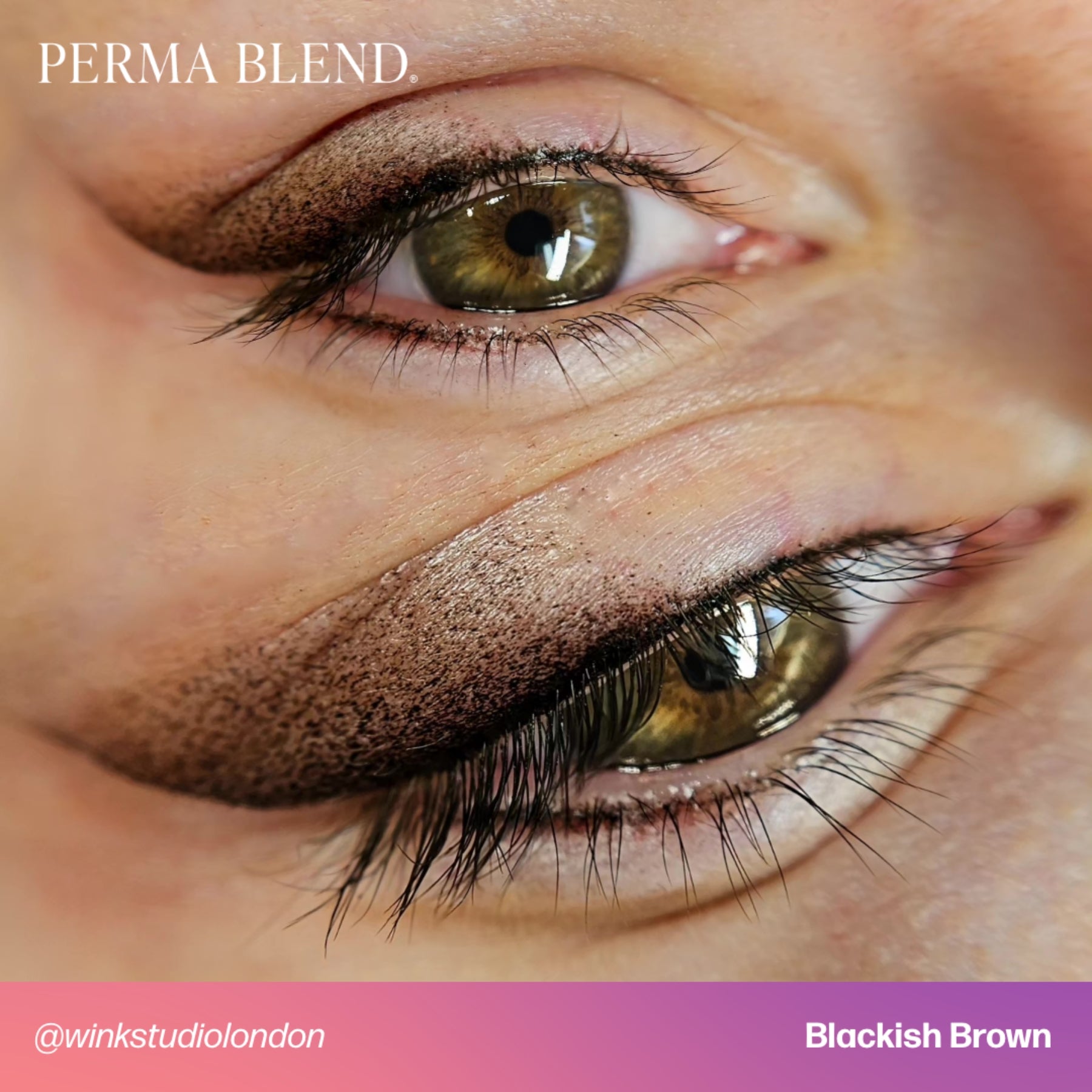 Perma Blend Signature Brow Set
