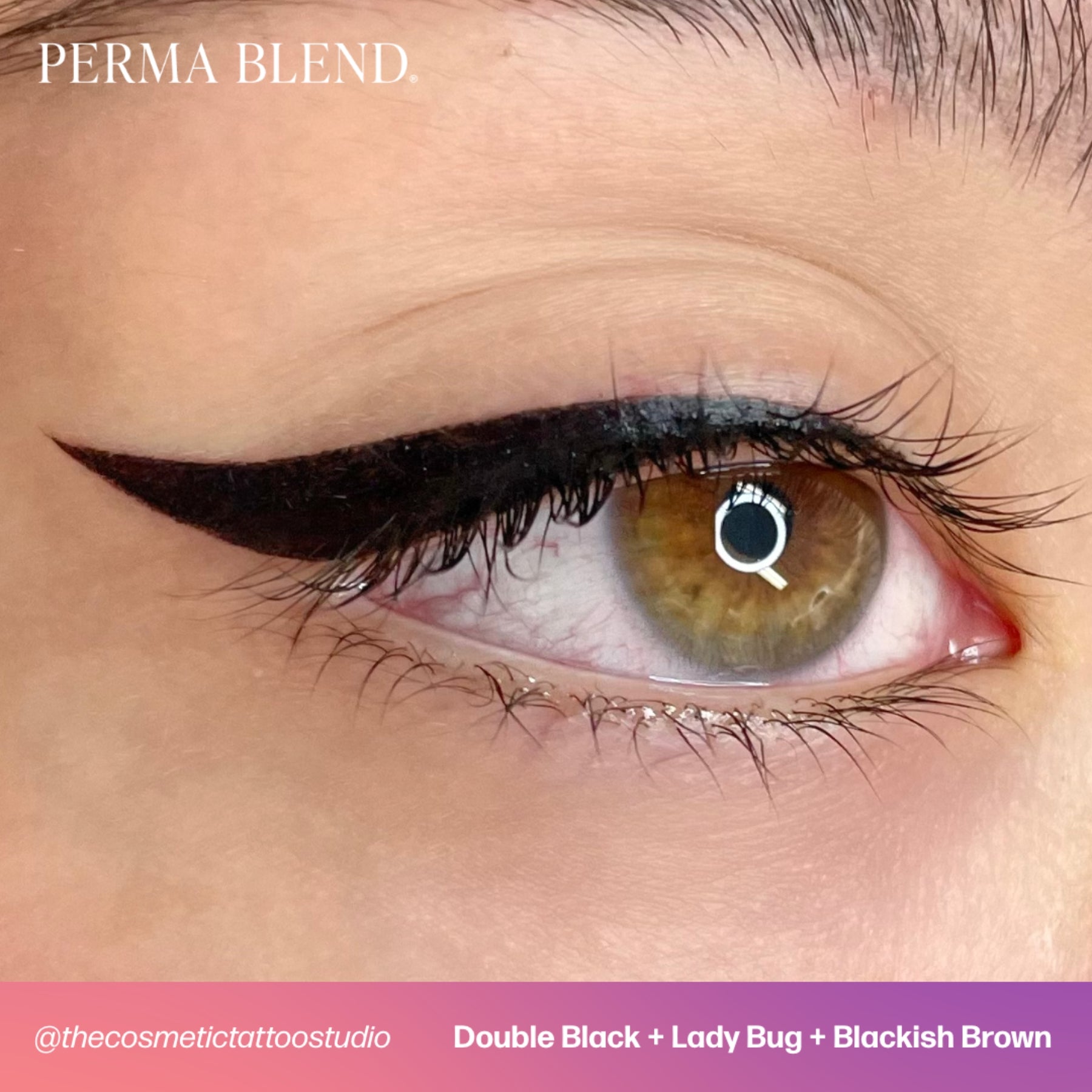 Perma Blend Eyeliner Pigments