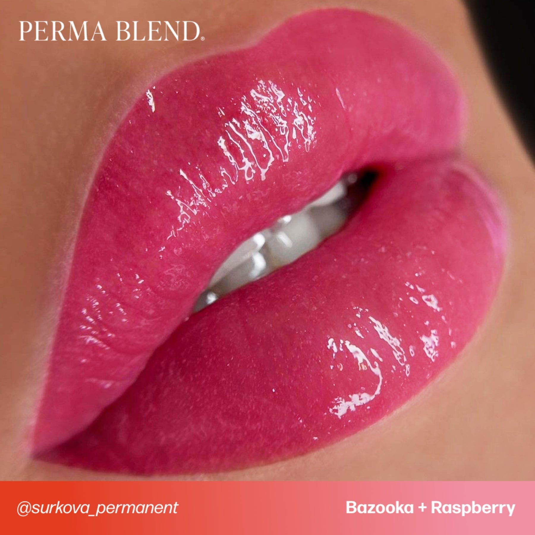 Perma Blend Sultry Lip Pigment Set