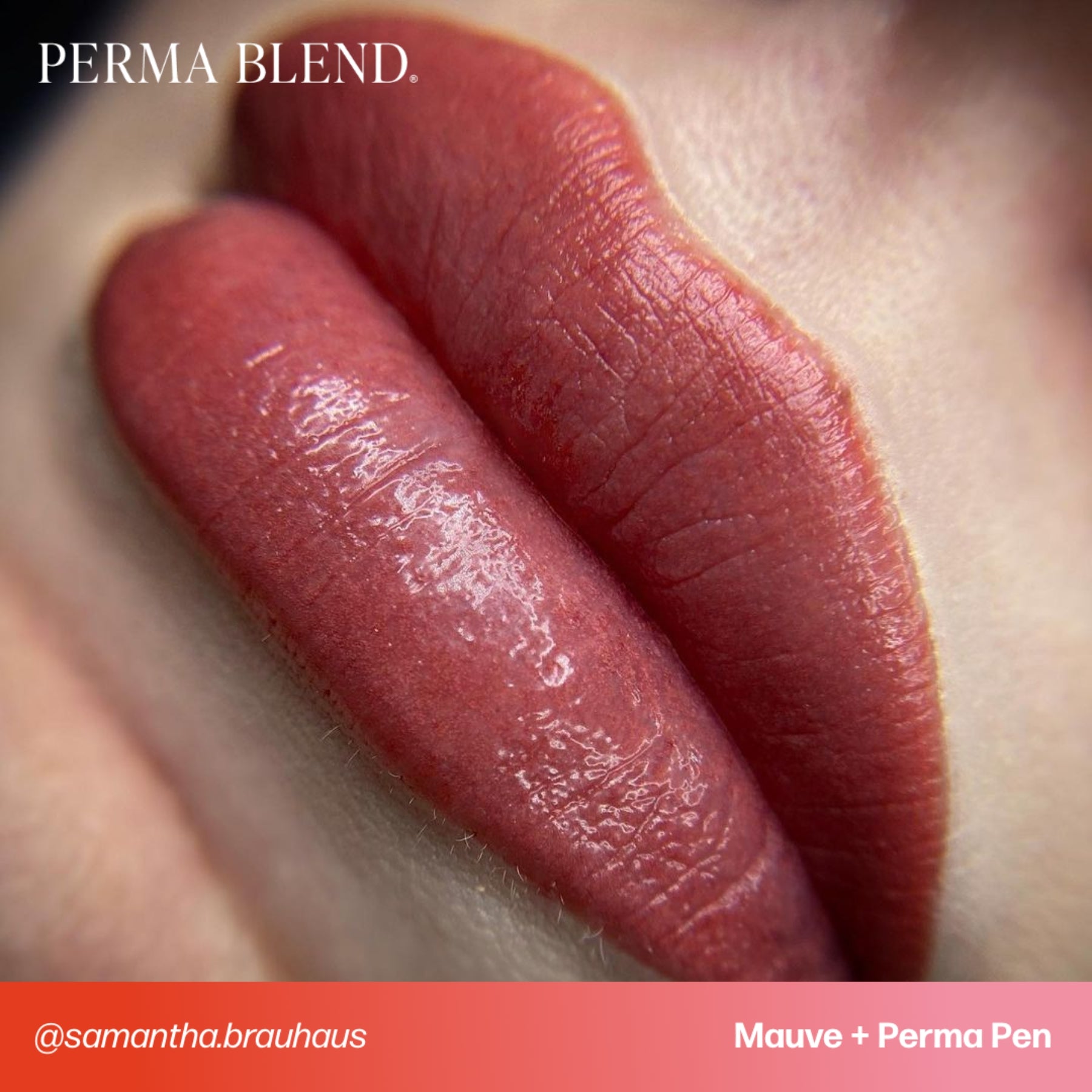 Perma Blend Sultry Lip Pigment Set
