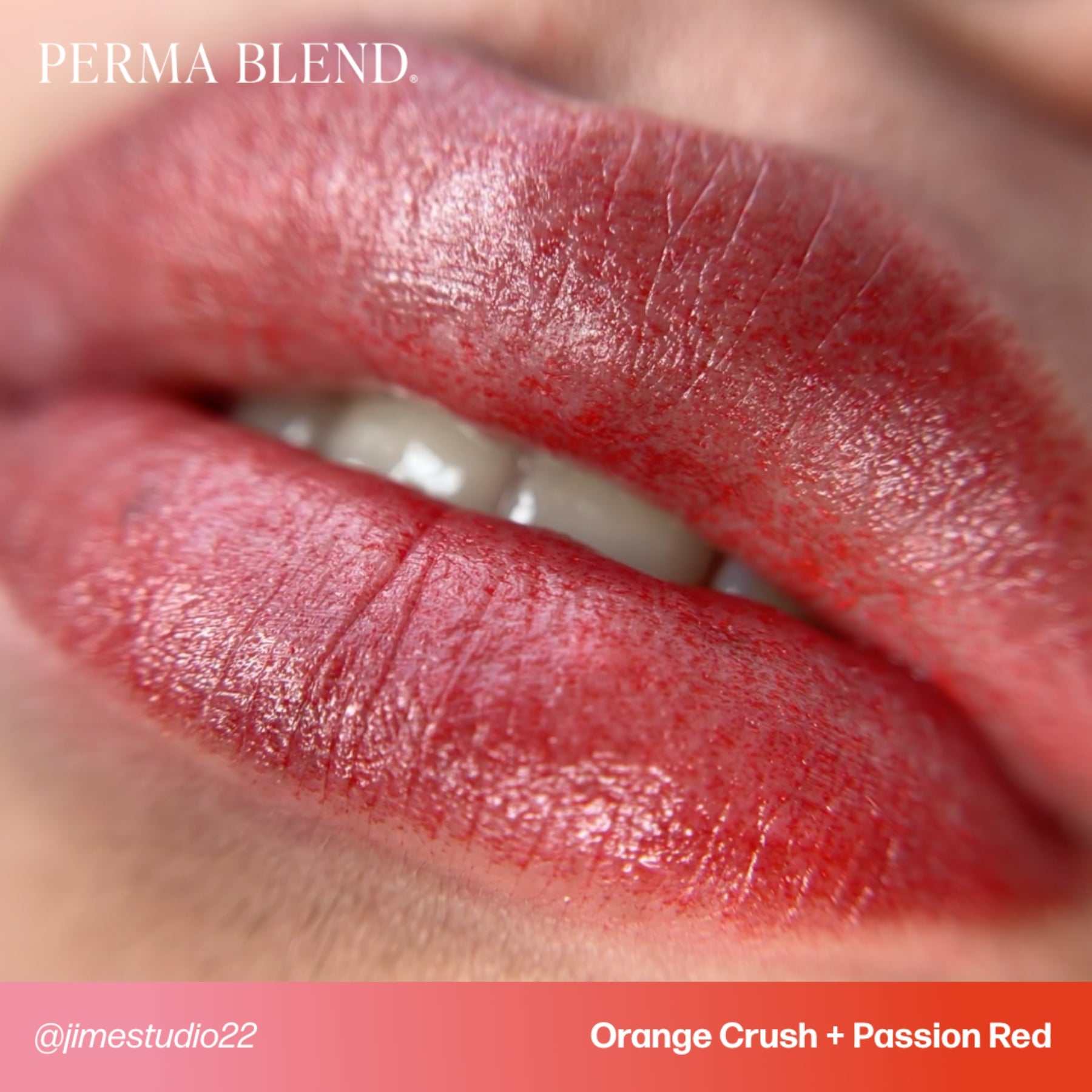 Perma Blend Signature Lip Set