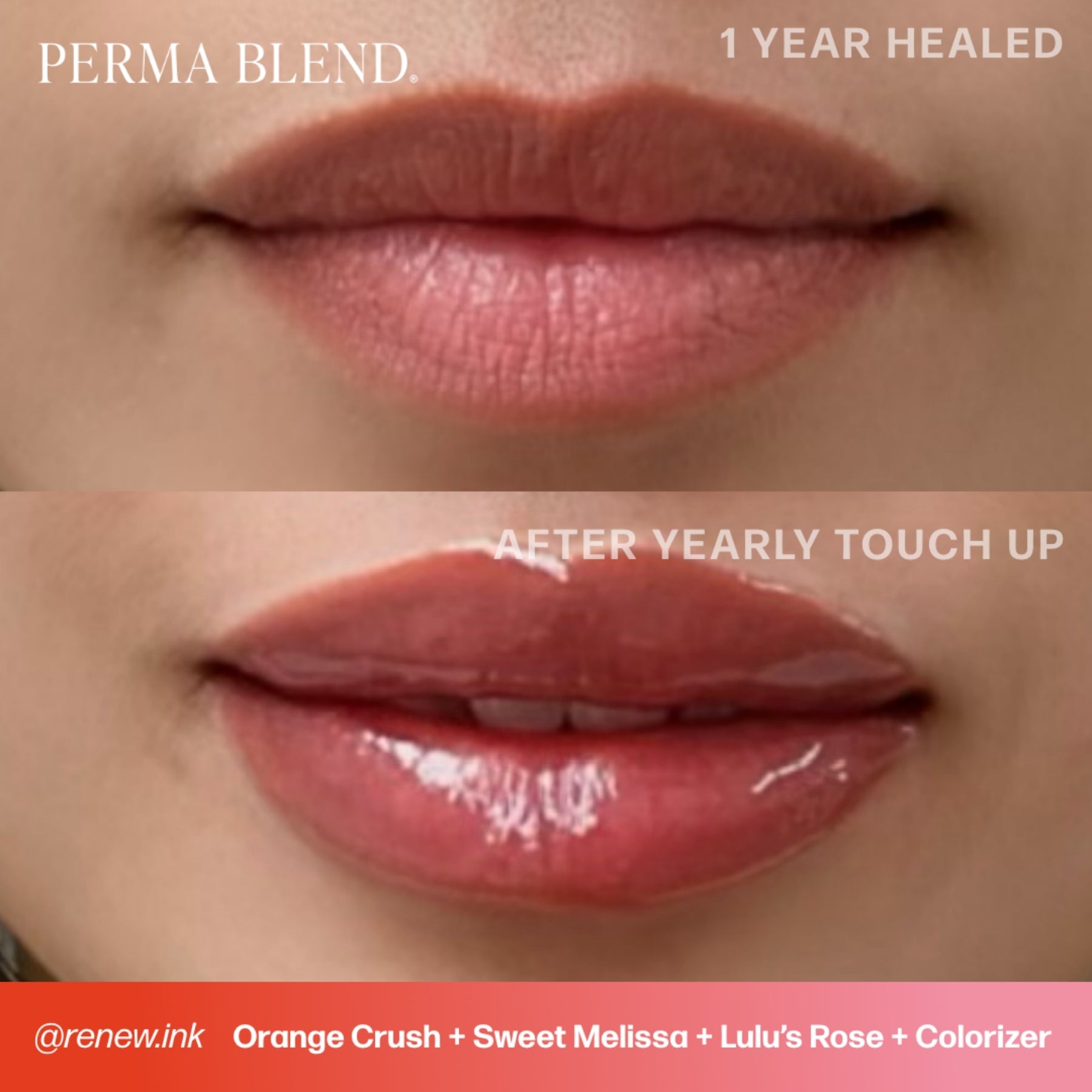 Perma Blend Sultry Lip Pigment Set