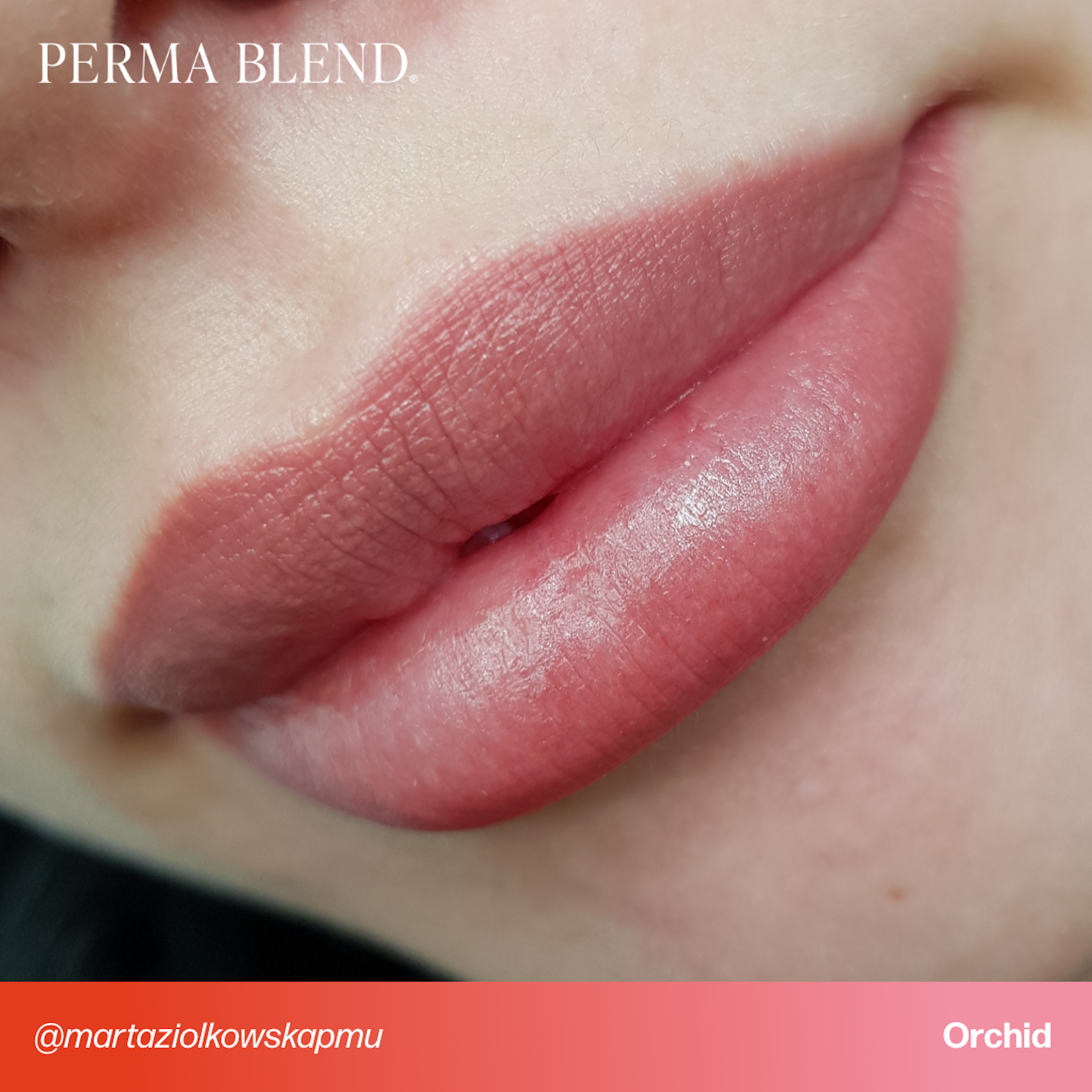 Perma Blend Signature Lip Set