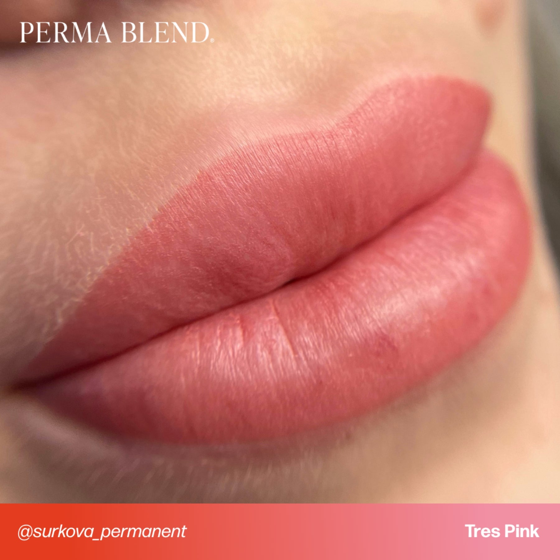 Perma Blend Signature Lip Set