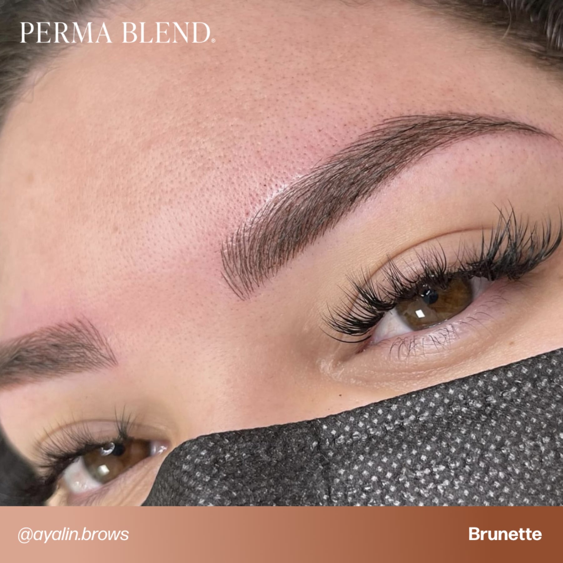 Perma Blend Signature Brow Set