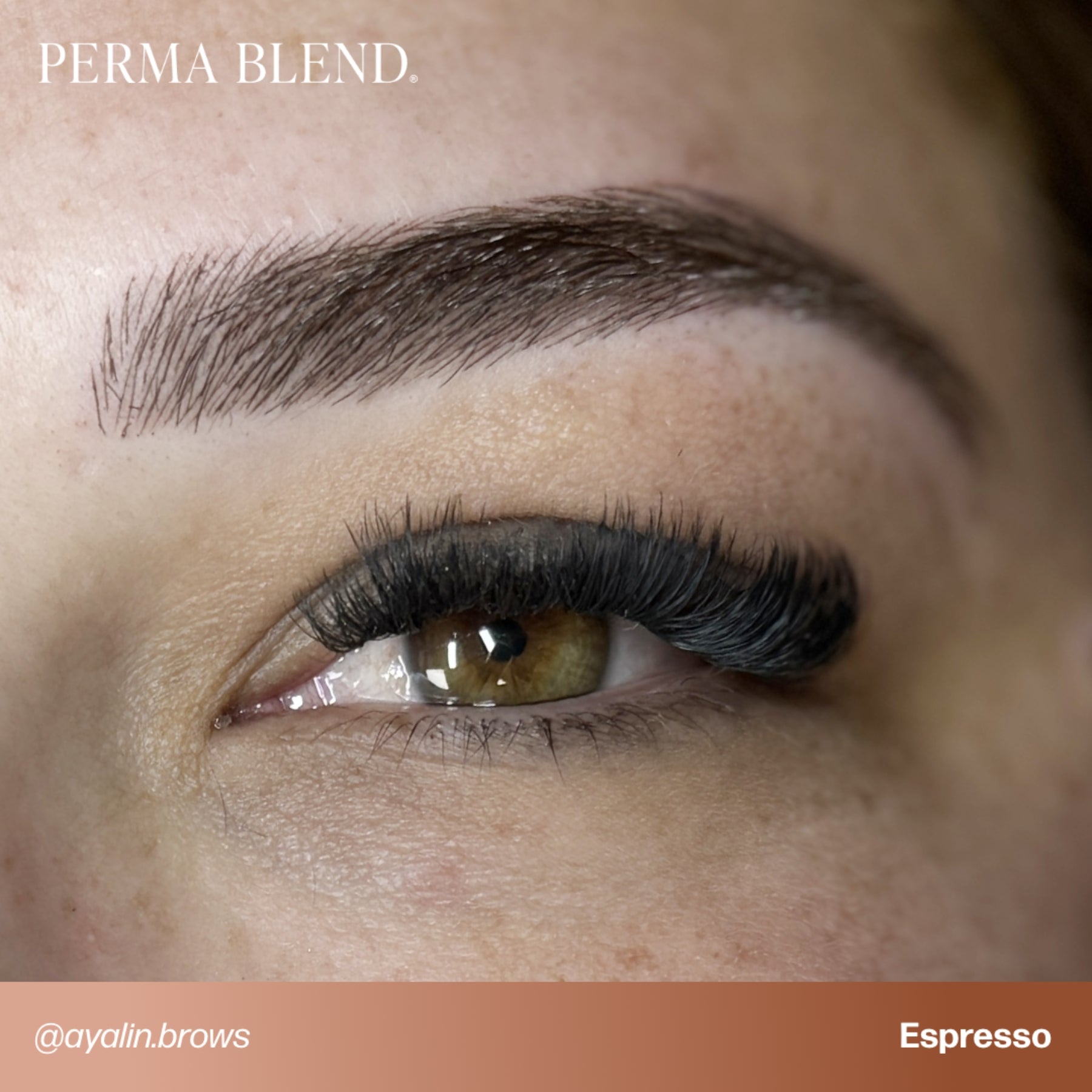Perma Blend Signature Brow Set
