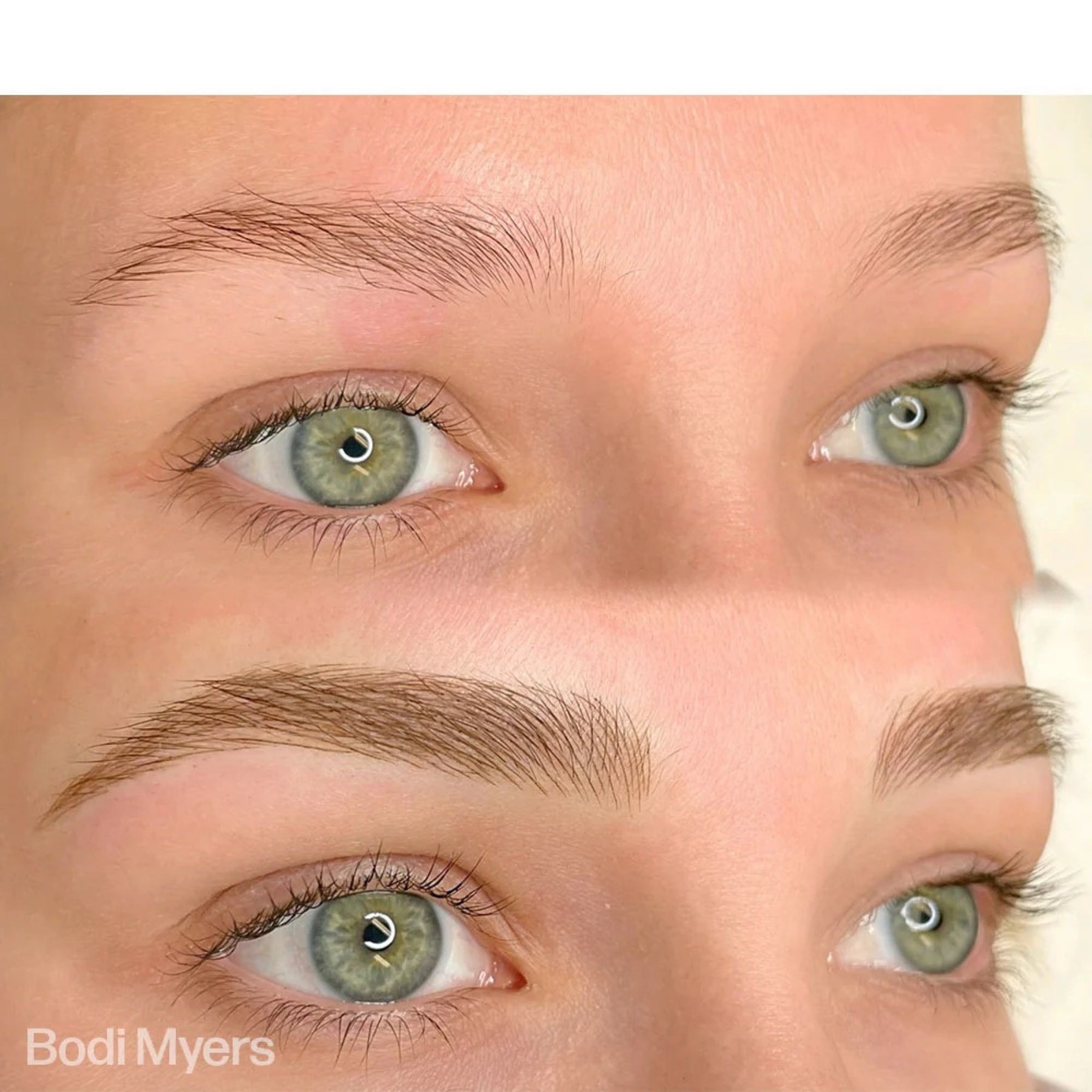 Perma Blend Eyebrow Pigments - Brow Shades