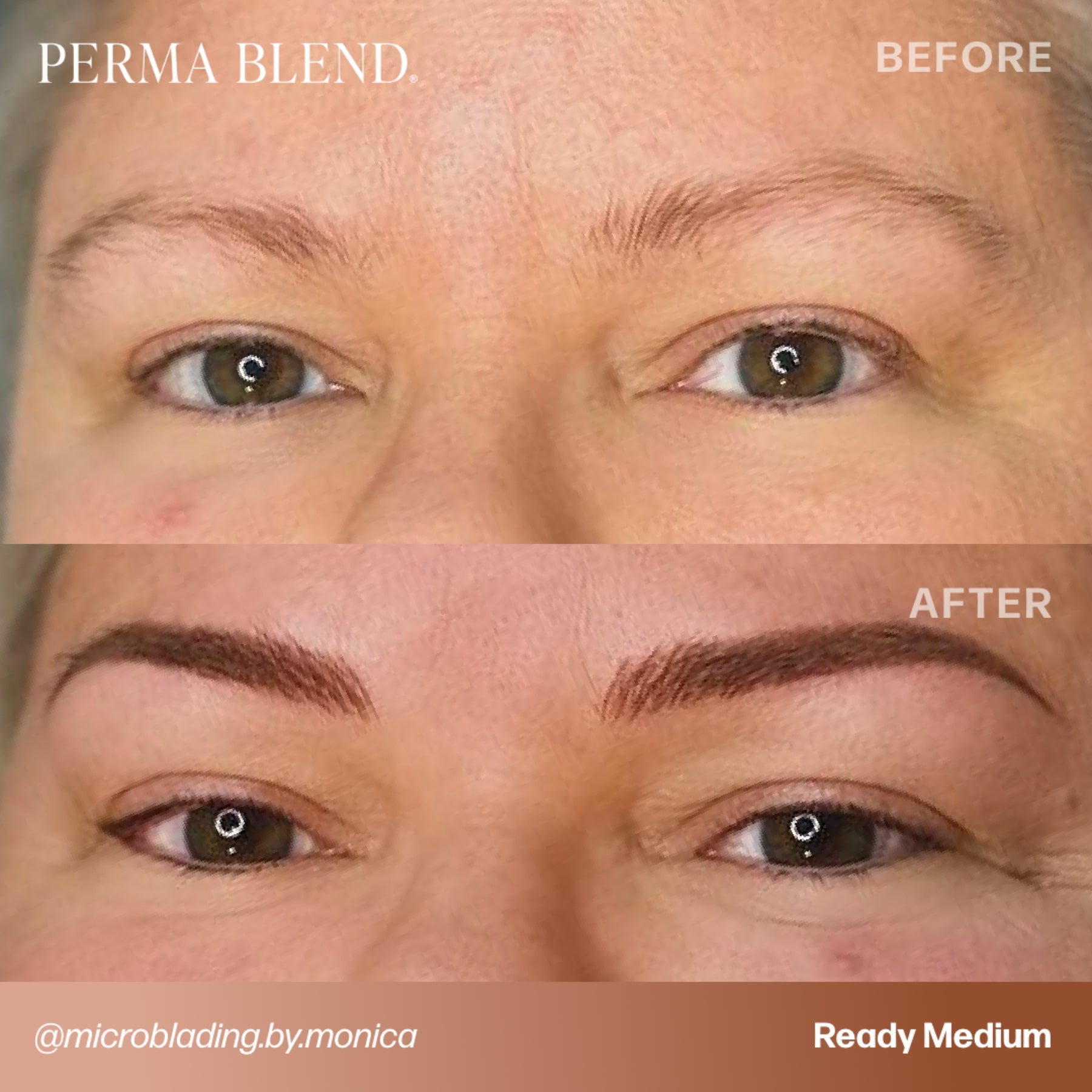 Perma Blend Luxe Ready-Set-Go Pre-Modified Brow Pigment Set