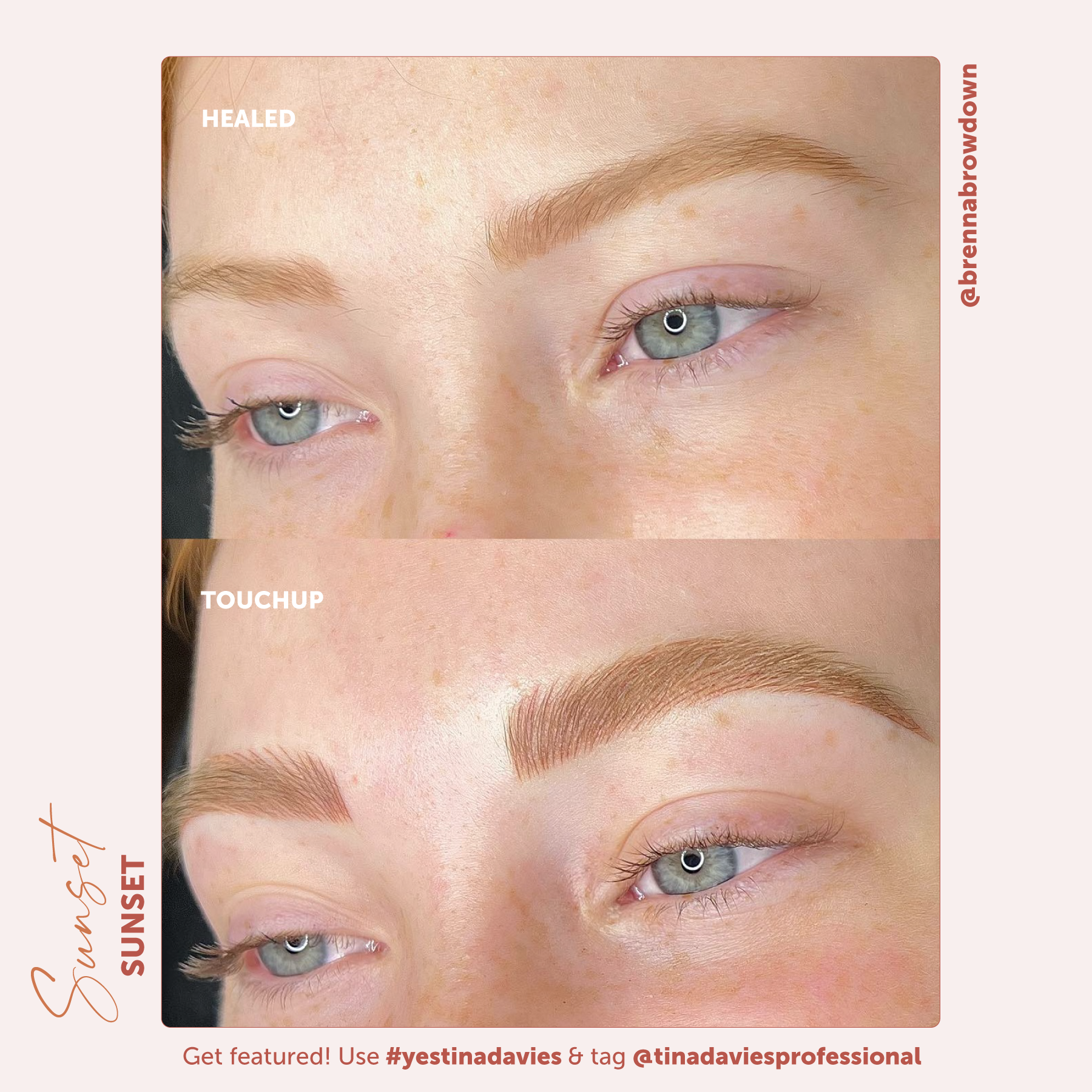 Sunset Brow Pigments